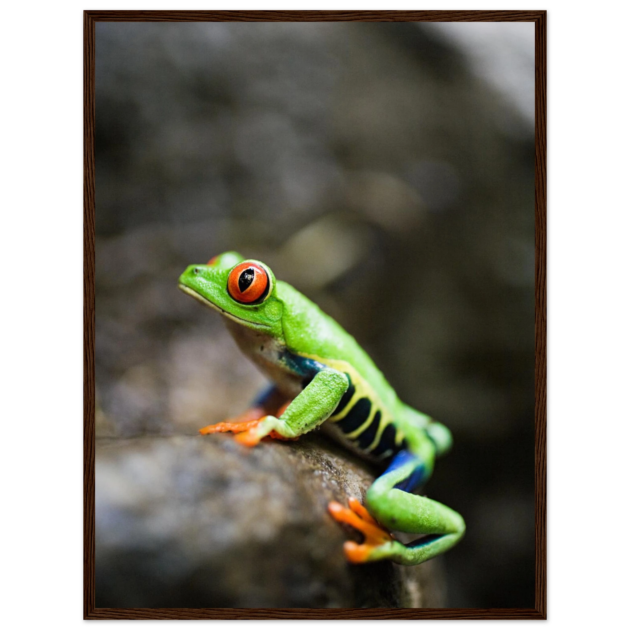 a2e37b62-e3d9-4ac3-8721-6e54f984422f