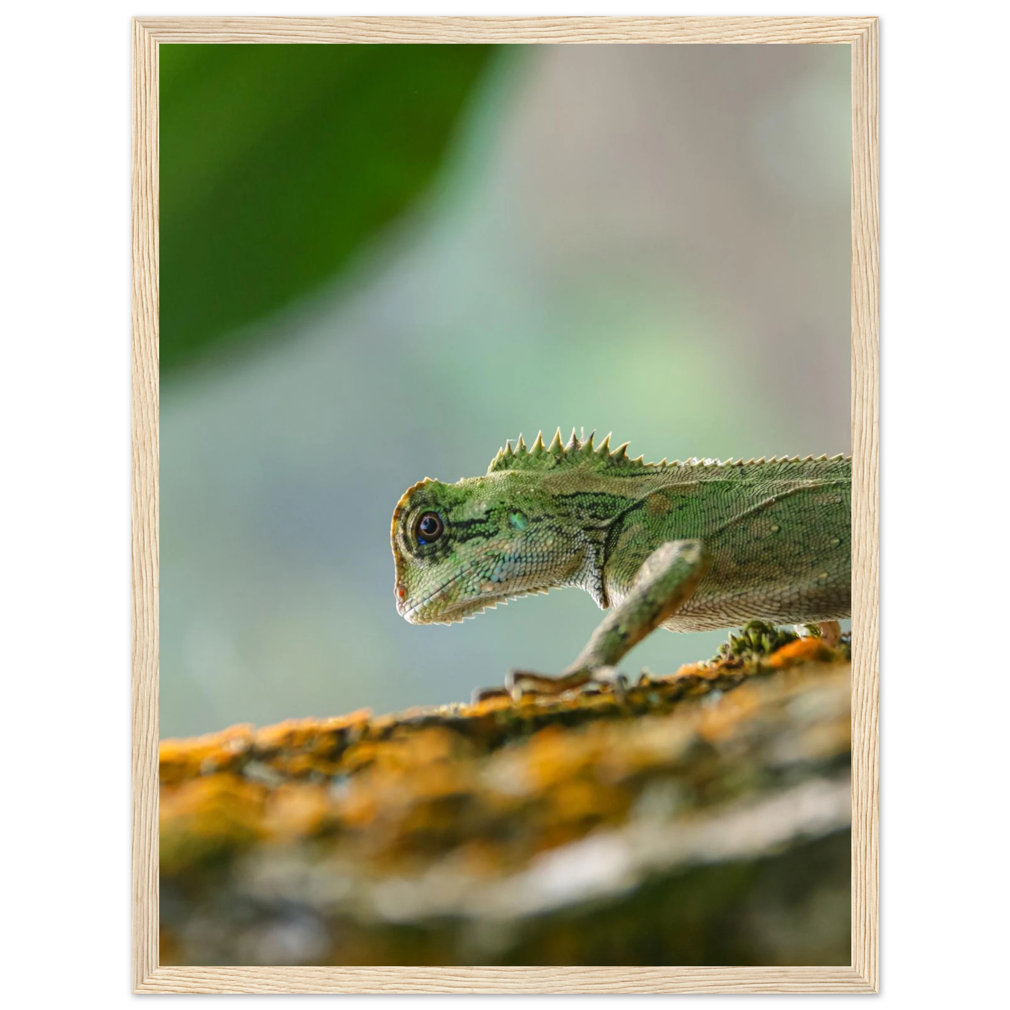 a2ee9629-f465-430b-af6f-233bc0d902c6