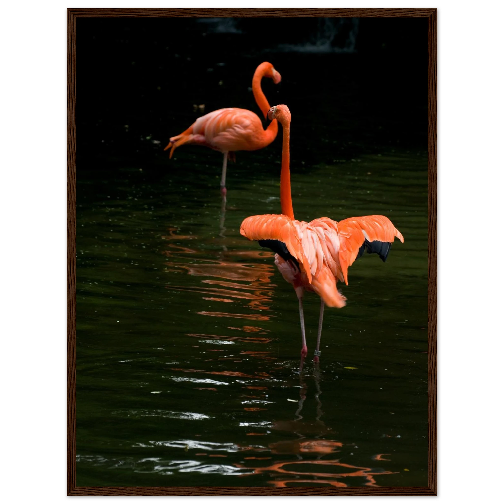 a302f7c4-cad2-47ce-a6d4-d6bed817574c