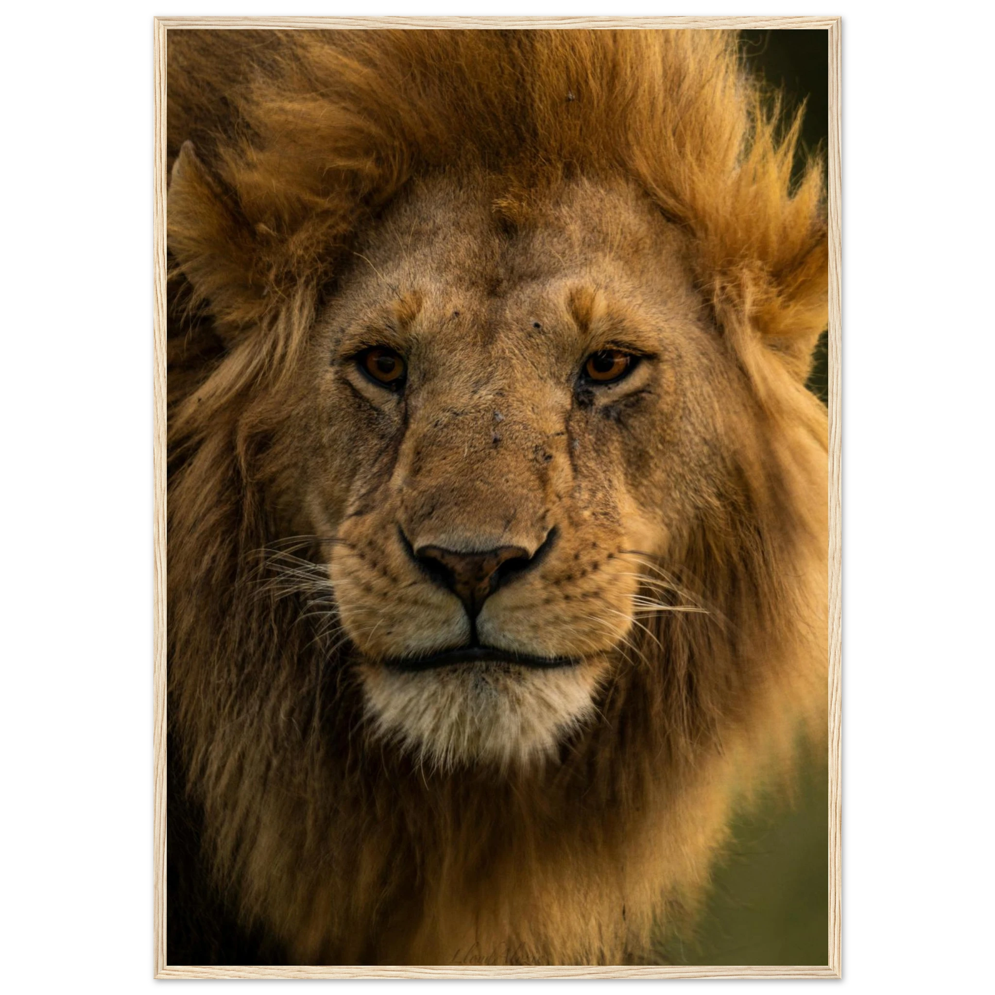 a30e3a60-31be-4a3c-ad59-a3df760a04cd