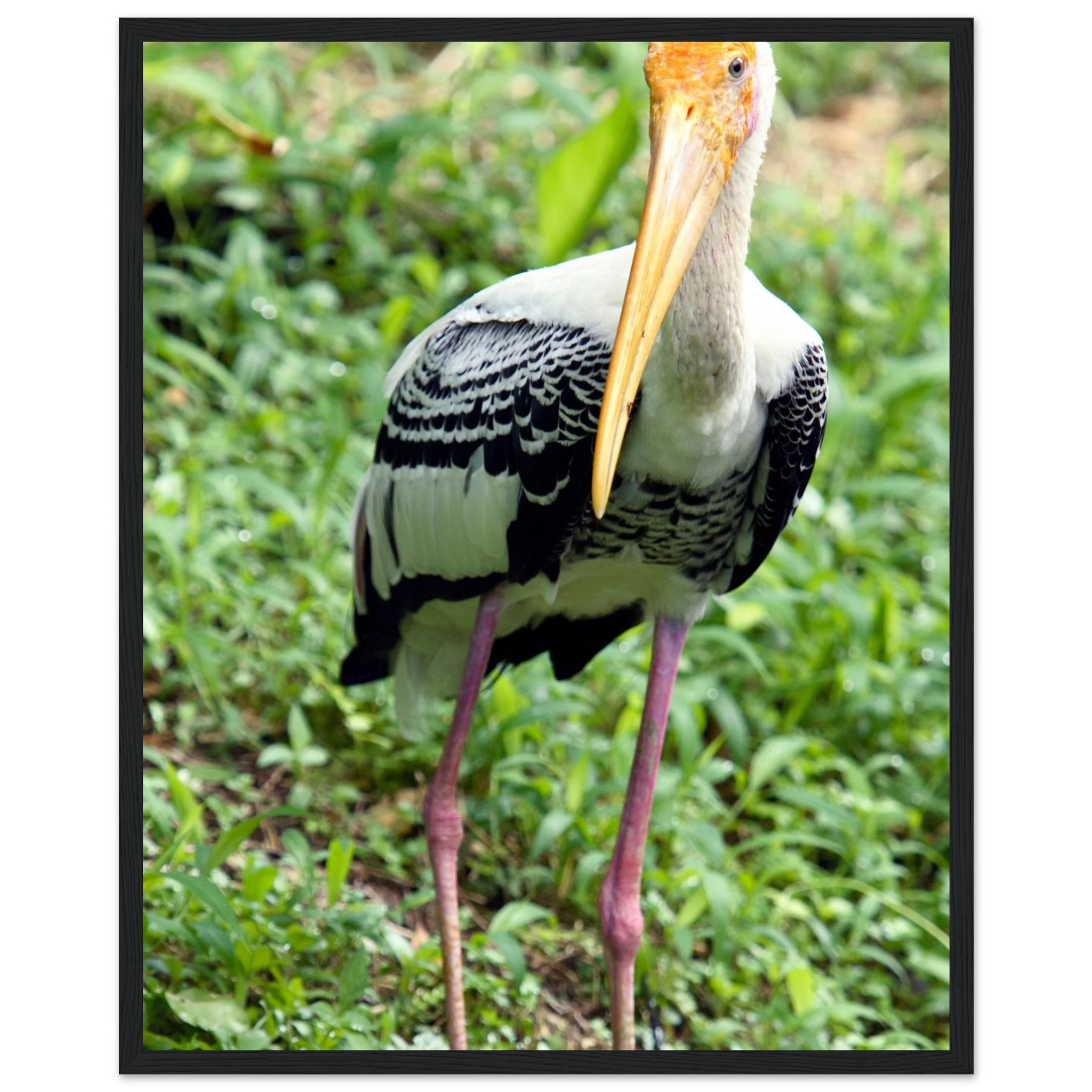 a31065f3-ad65-4c63-8295-8b35a5947359