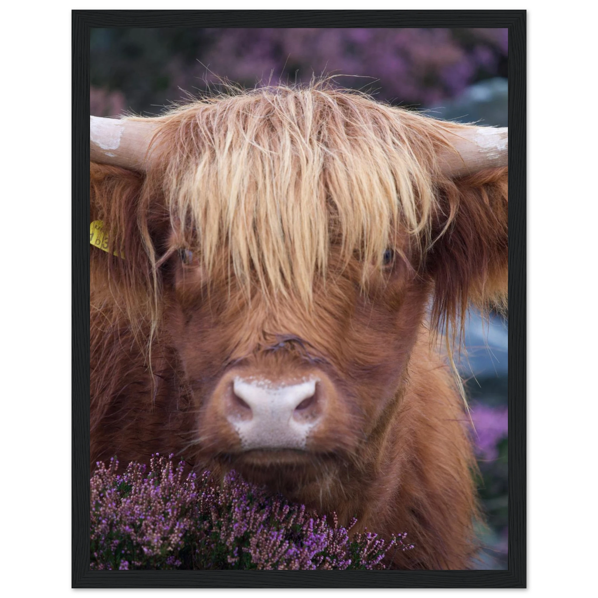 a31fbbd2-1b52-415f-a586-5409916e1cd6