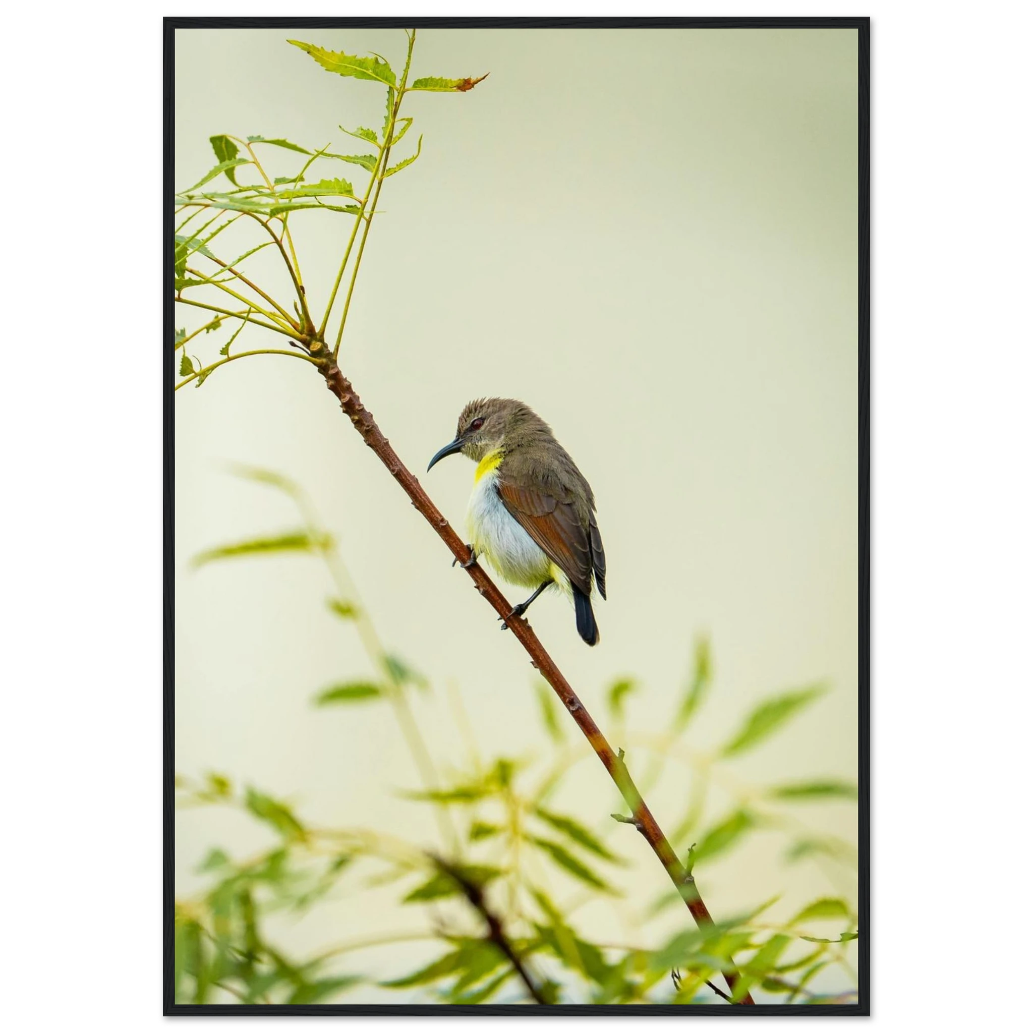 a327db41-8912-4428-bef8-1306cfe970cd