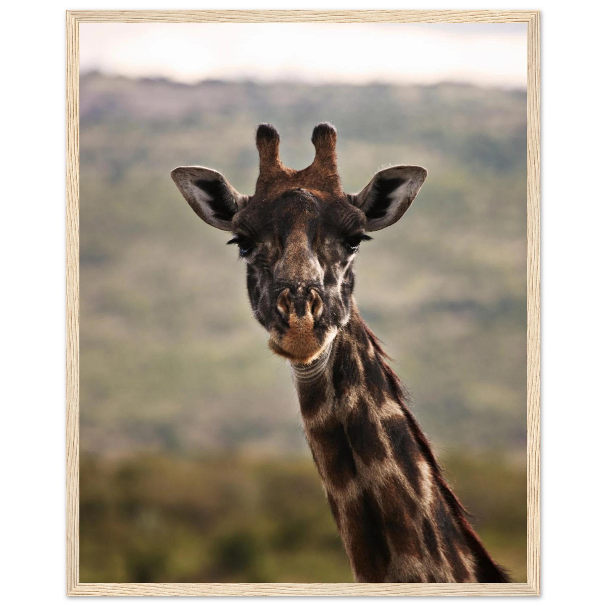 a334ccb8-f468-47a2-b61a-2090f1f454f0