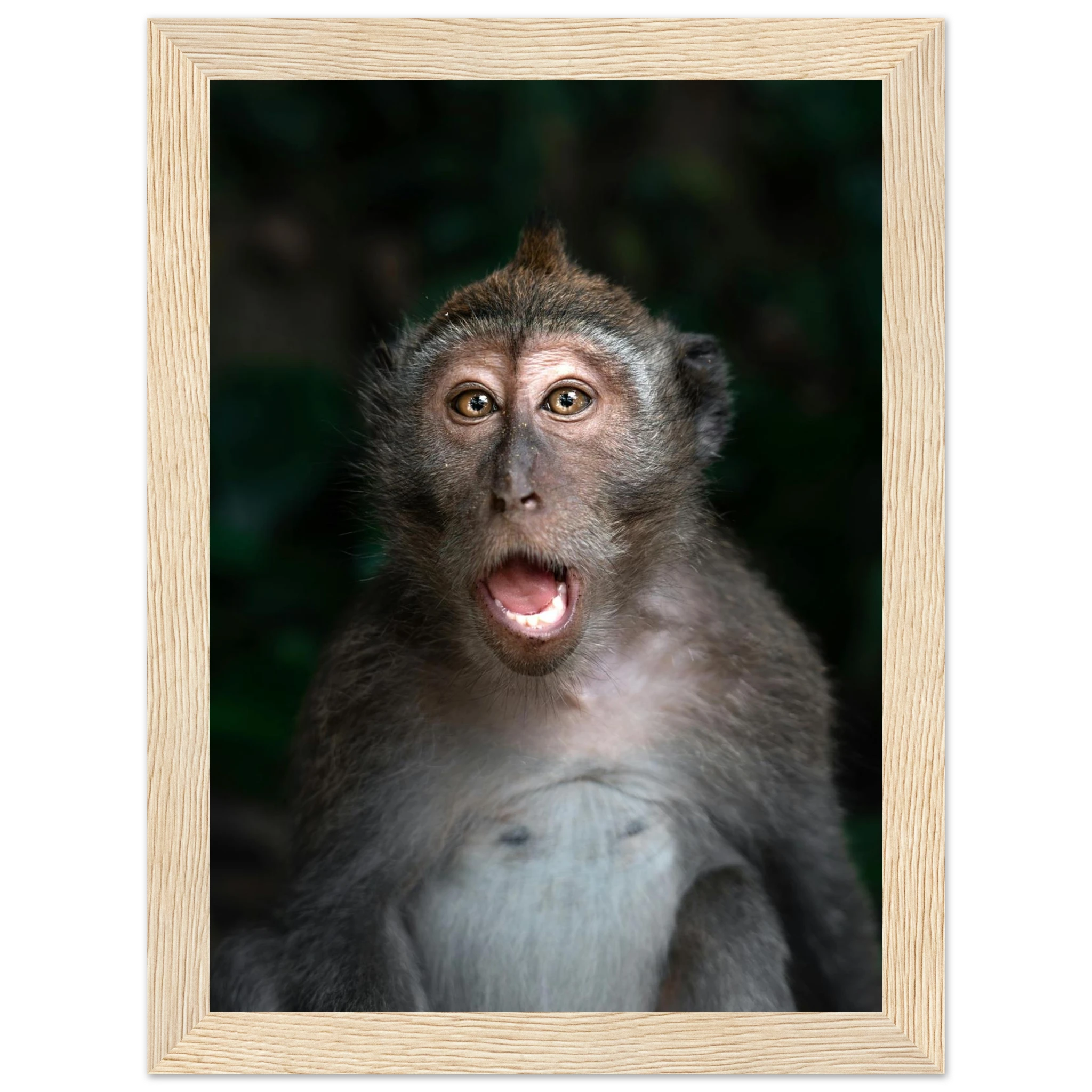 a346de0e-c32e-48a1-aeec-03b20efe5421