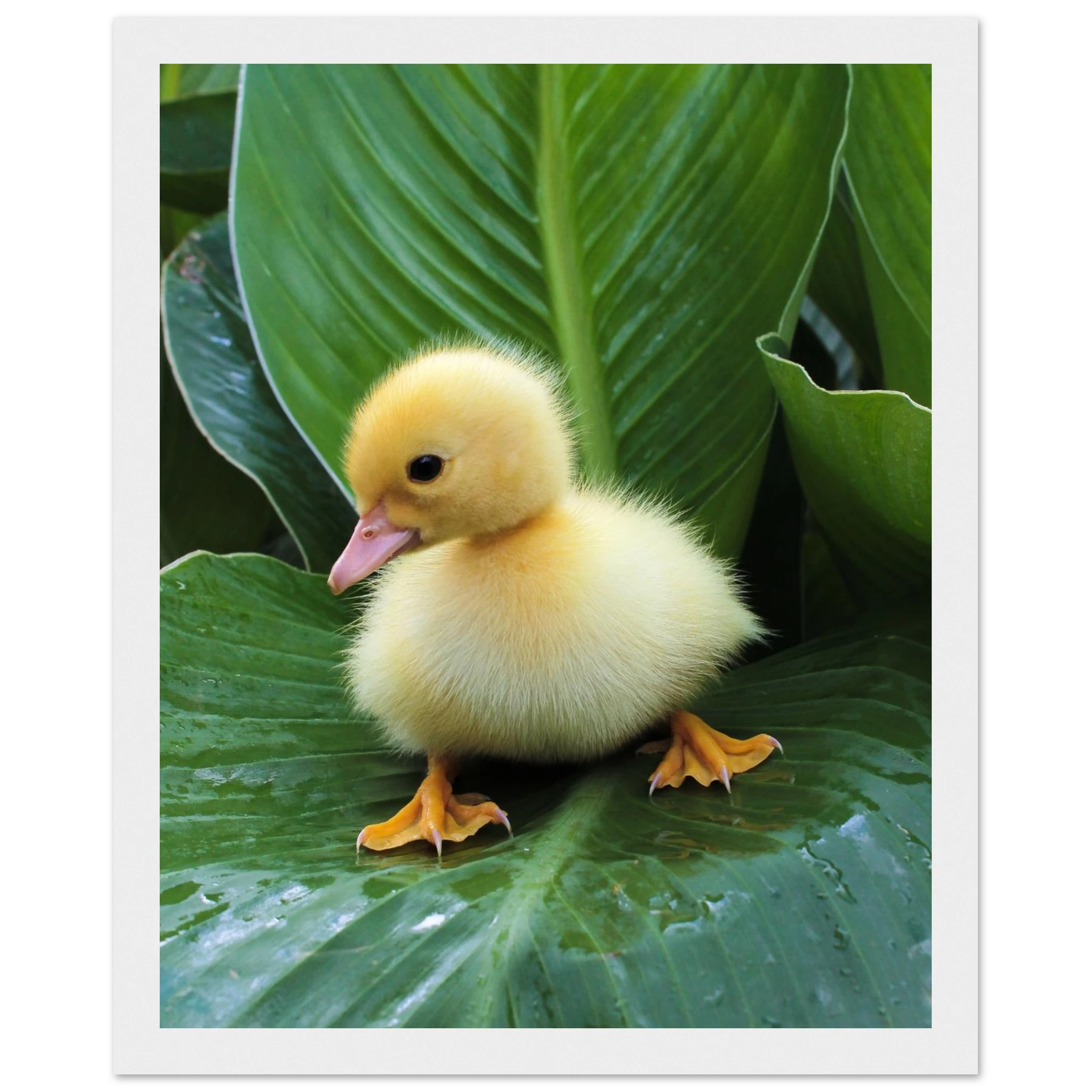 a347015a-4a61-4af9-a070-400abedaca32