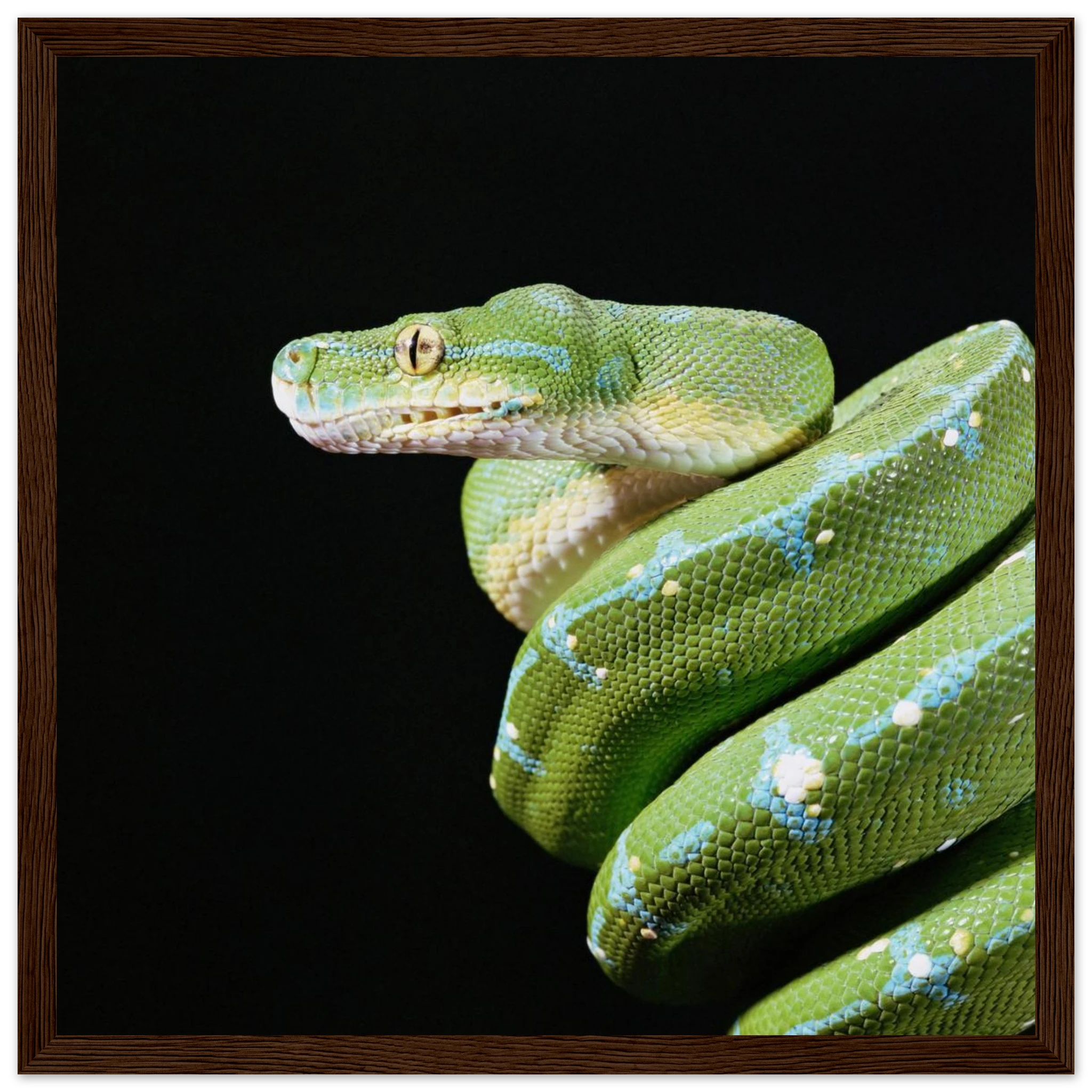 a3554787-e844-45a5-bc14-727913965fef