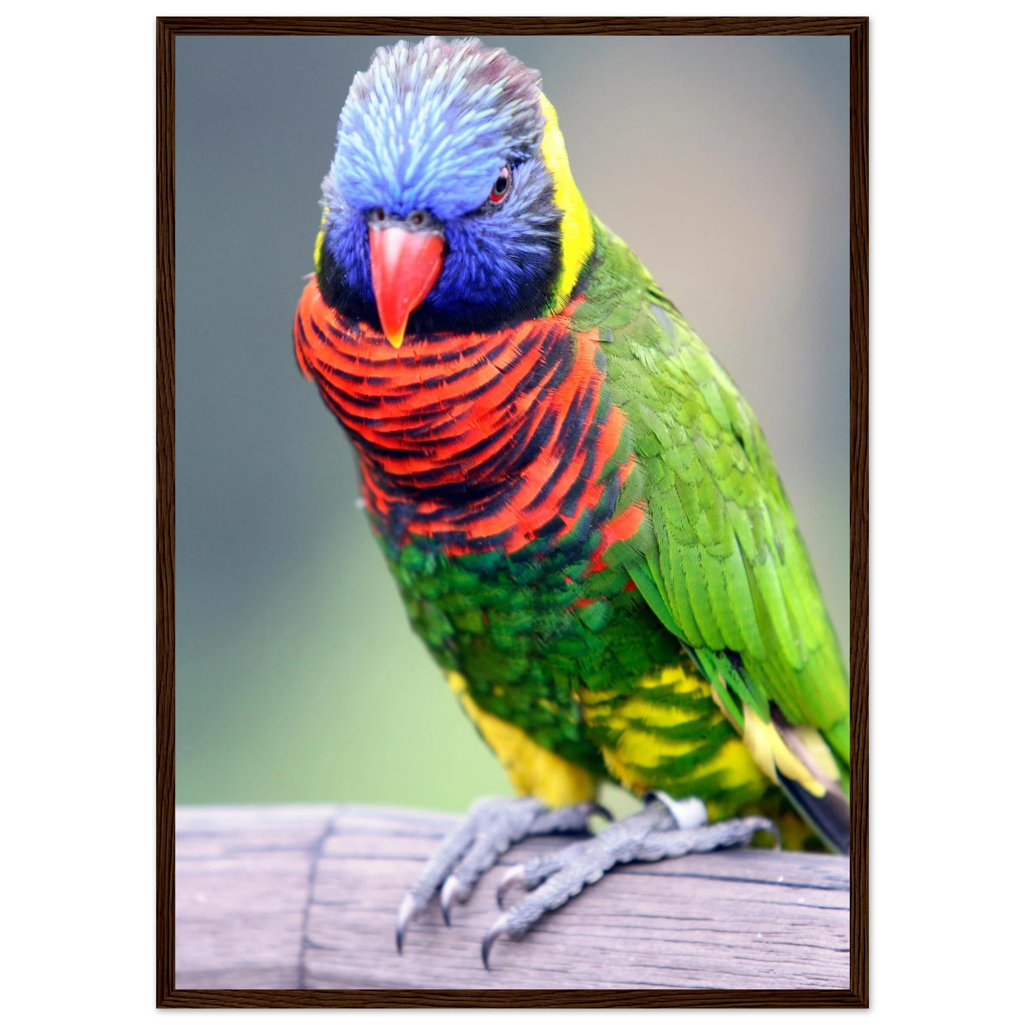 a36c144a-a69f-43c4-86d6-3a5e42373bd0