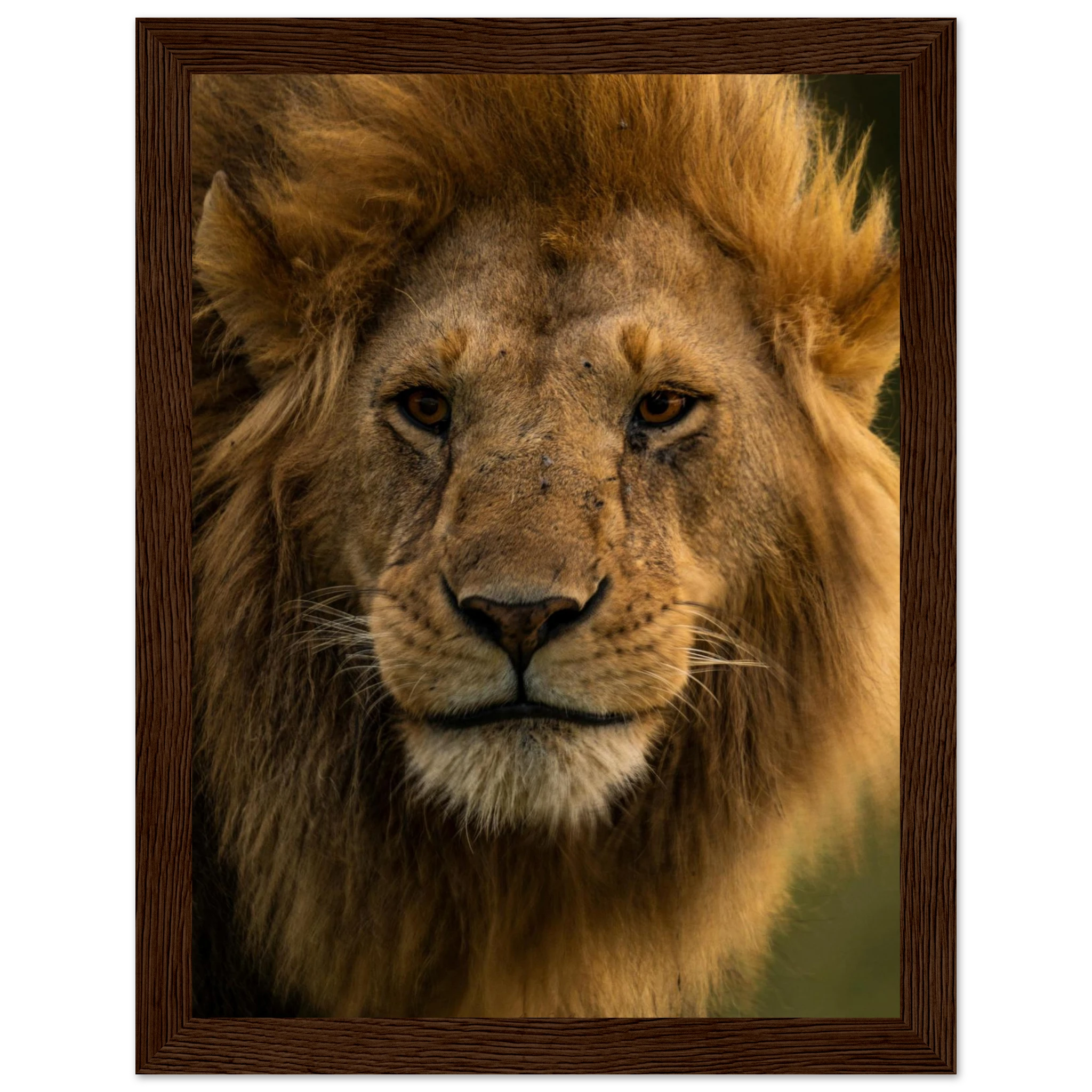 a391493f-1a01-4844-bed8-916869d5ccd3