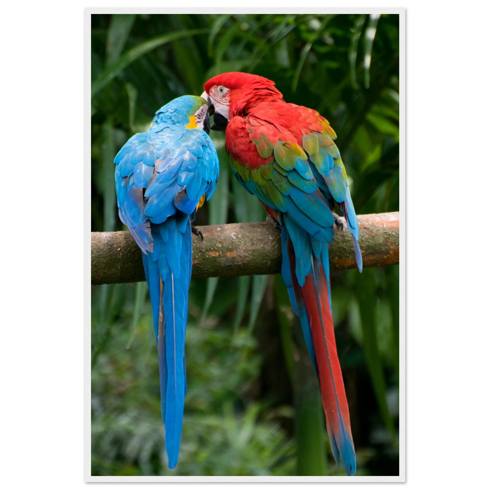 a3a612d5-647c-401d-8a0f-86e24e1fcb24