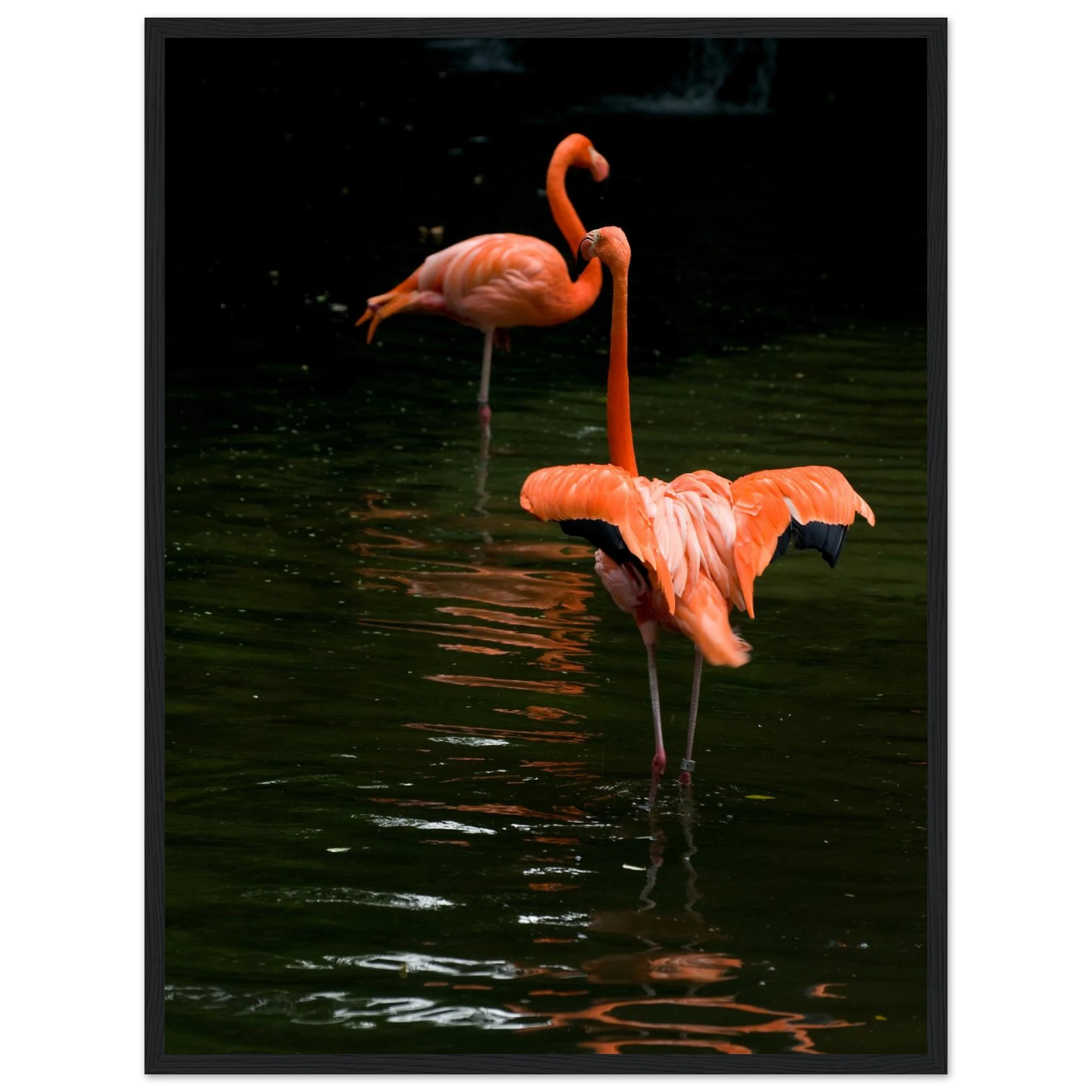 a3b04e8e-3b09-44db-a1da-ad3c6e5fe985