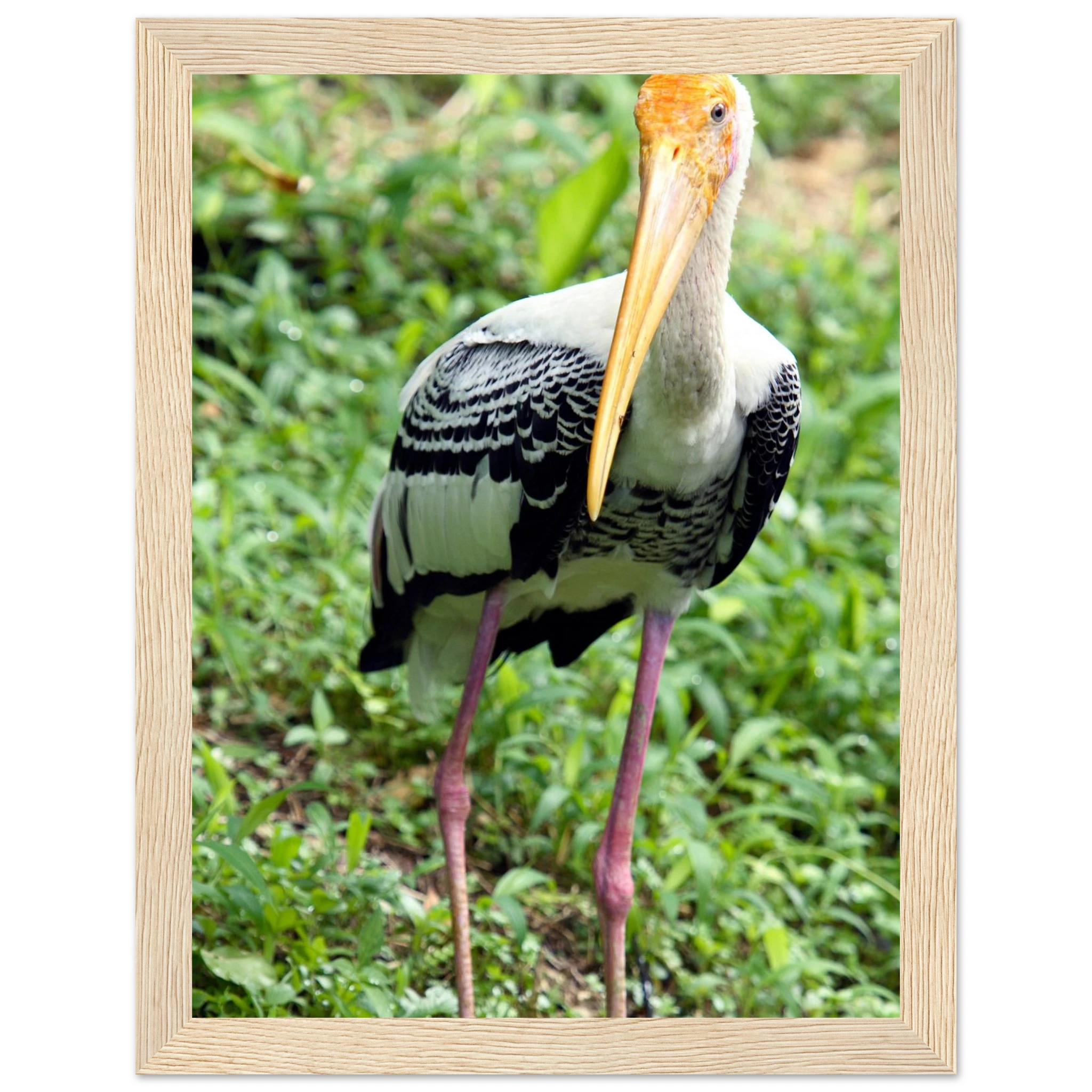 a3c2cda4-dadc-4f16-897c-7844609372f8