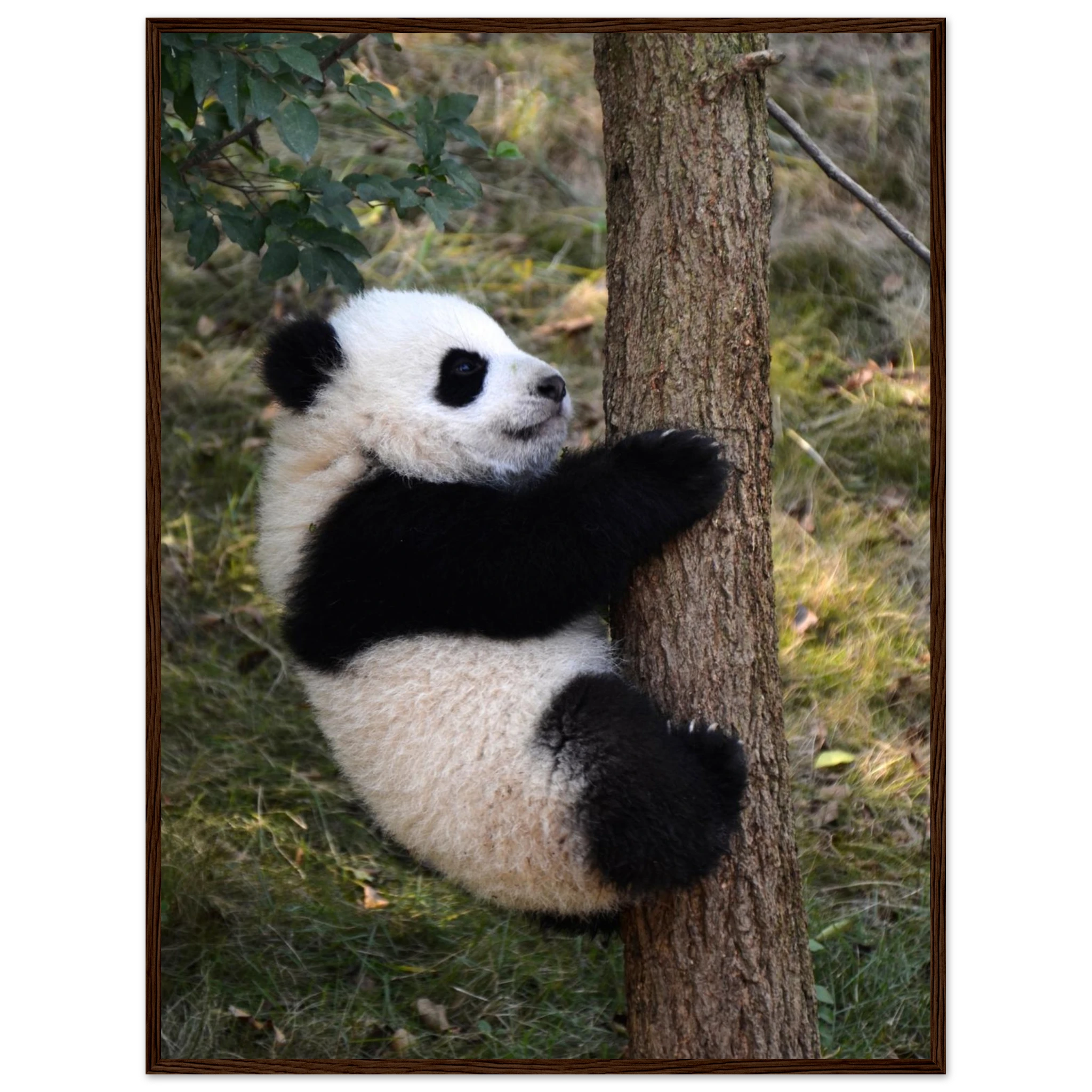 a3c6802f-1aa1-448e-97b5-93f6bac0081a