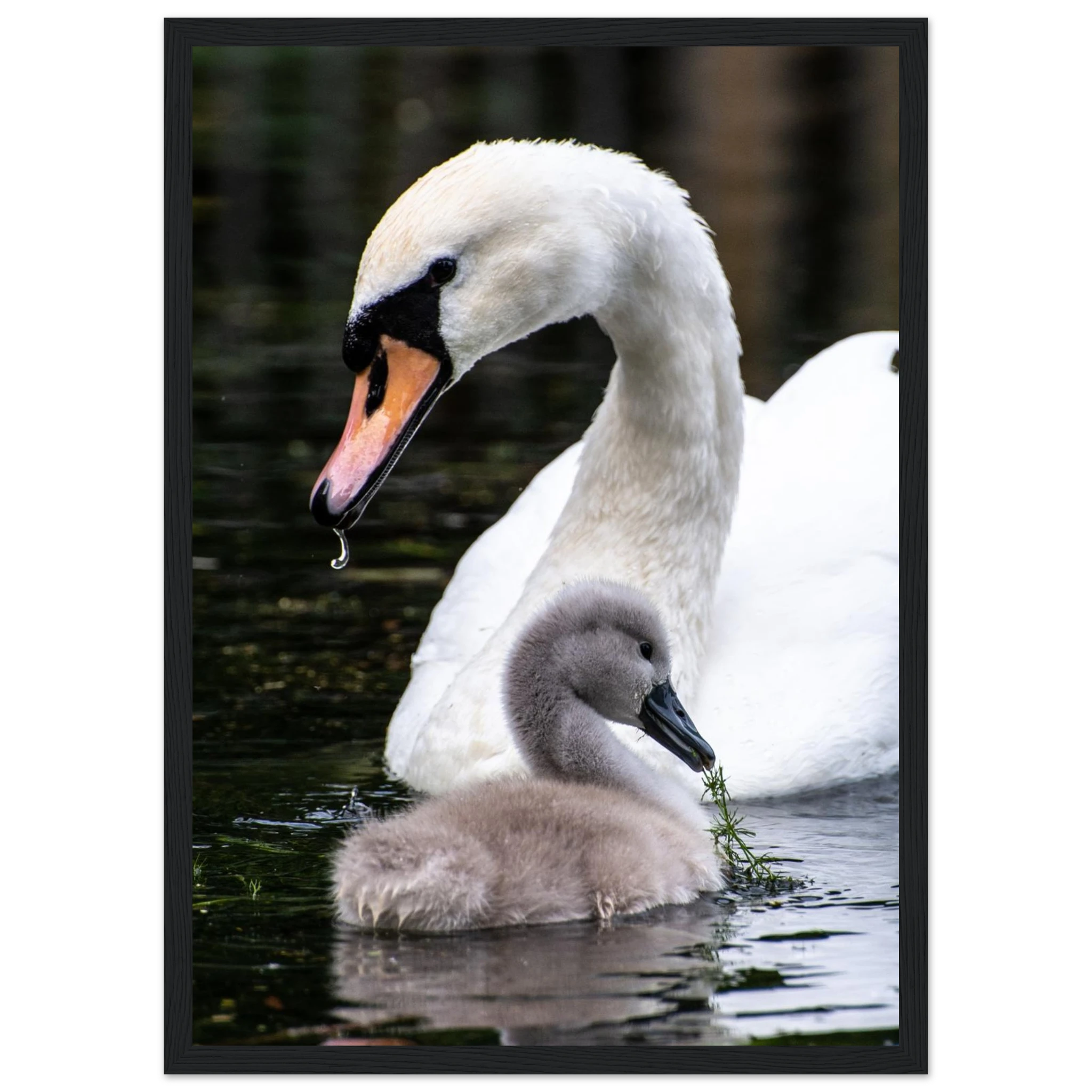 a3c768a6-31d2-4389-a63d-1cdb8fe6ac48