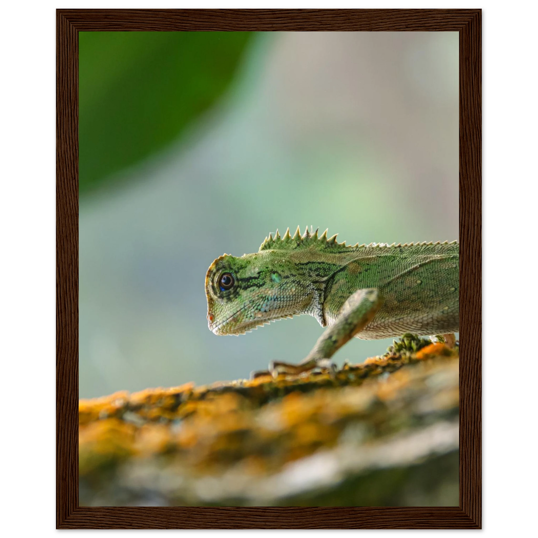 a3ecb9dd-1db4-48f7-be72-b060cb21fd06