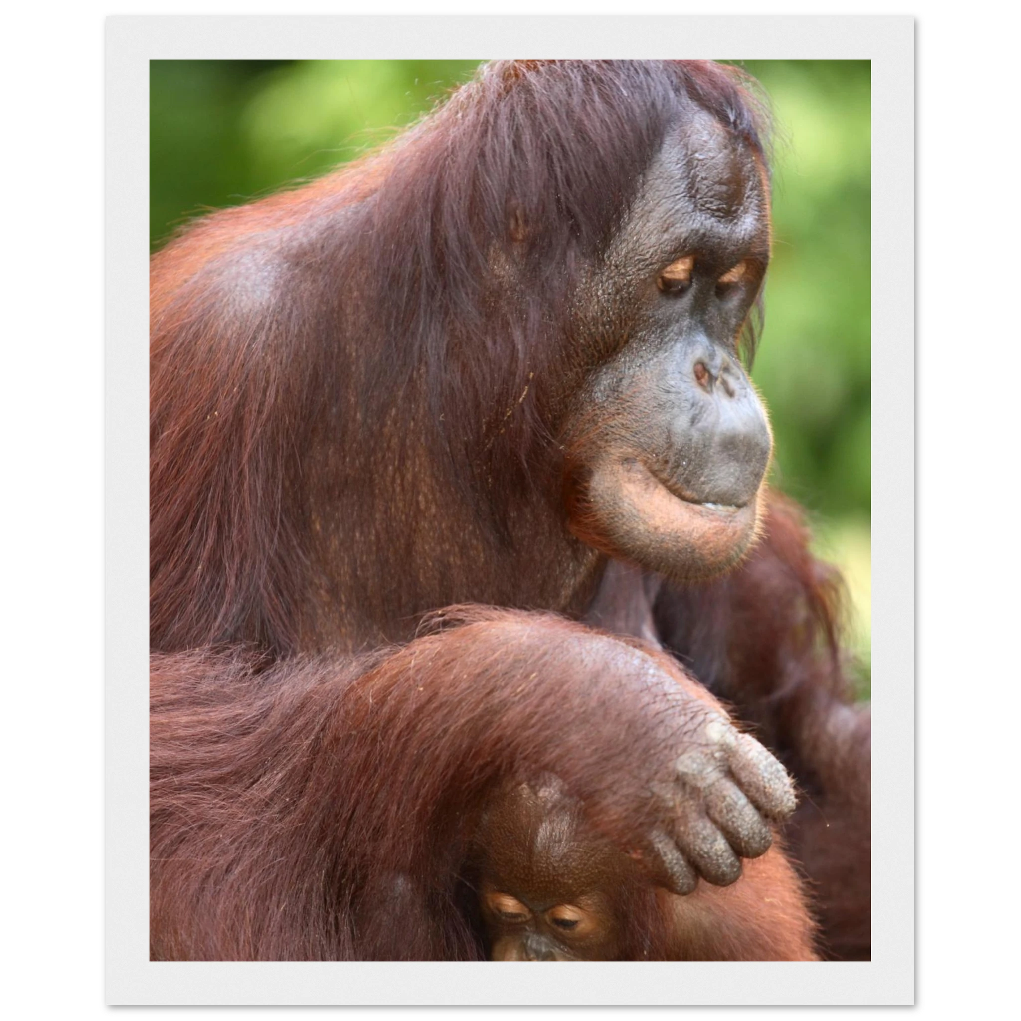 a3f5a553-ec12-476a-92f0-3bf8d80e5530