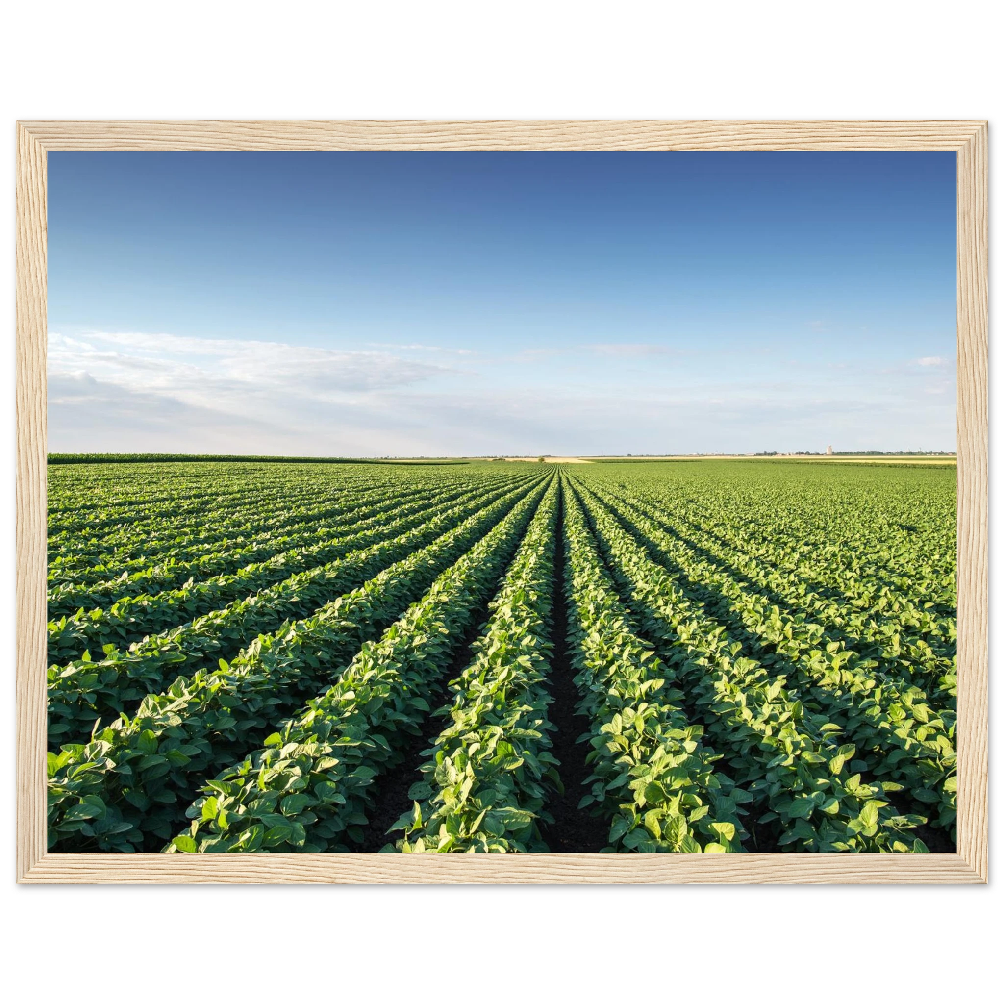 a3fc3510-c37f-48c9-a812-8f7537126735