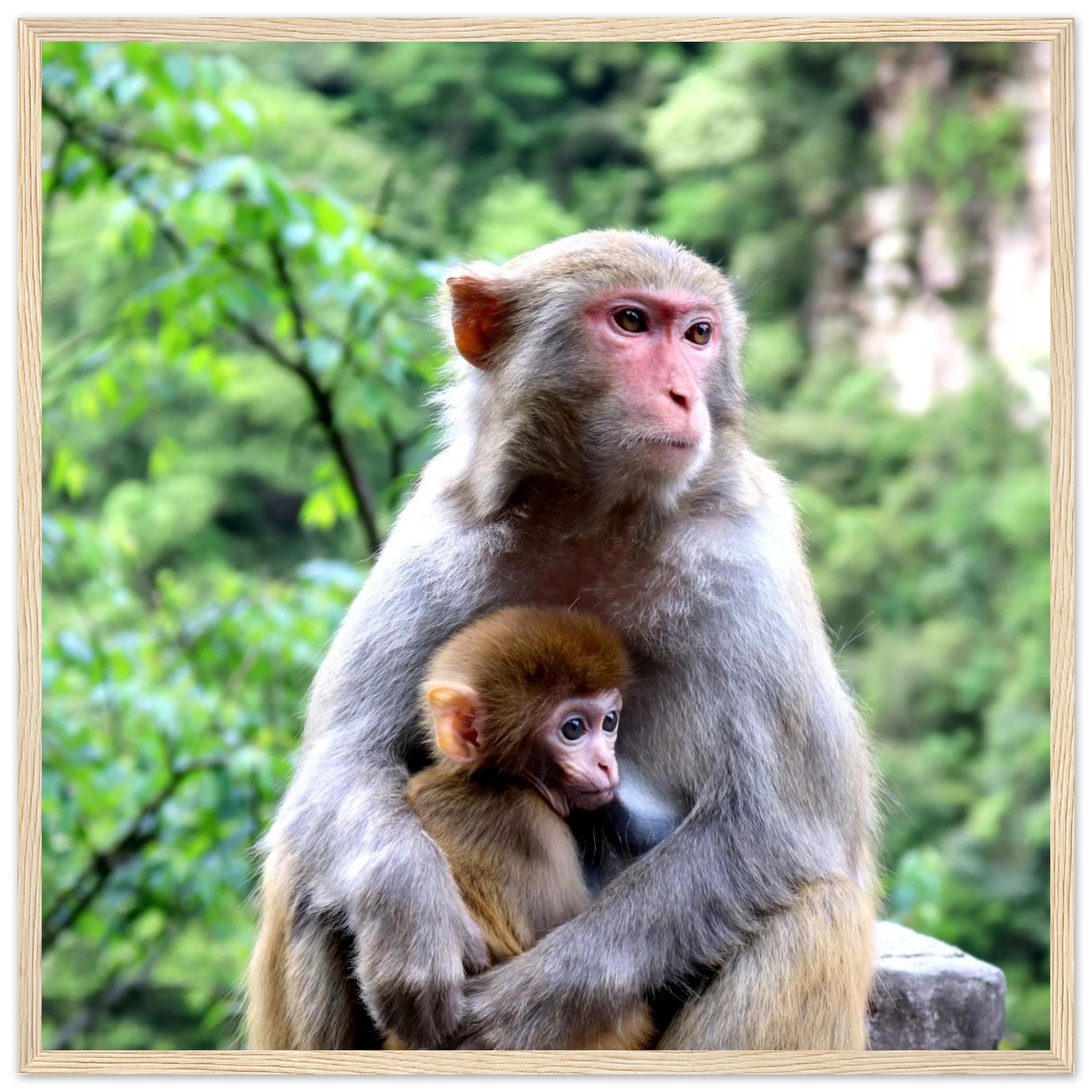 a3fe0eb2-6a14-4105-a0a9-b4fff575ffd7