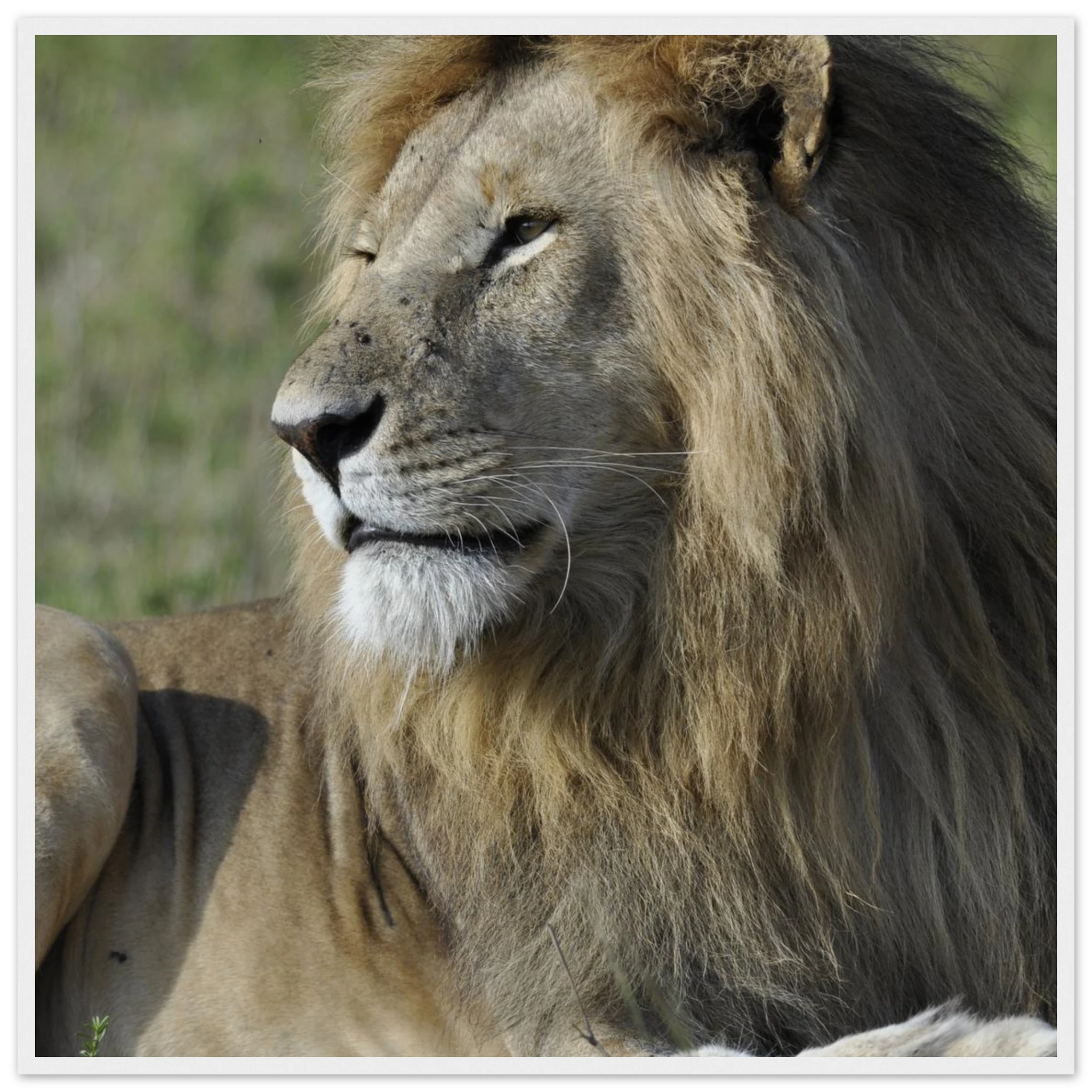 a43fe467-3bd7-4815-b39f-a6bd21604d94