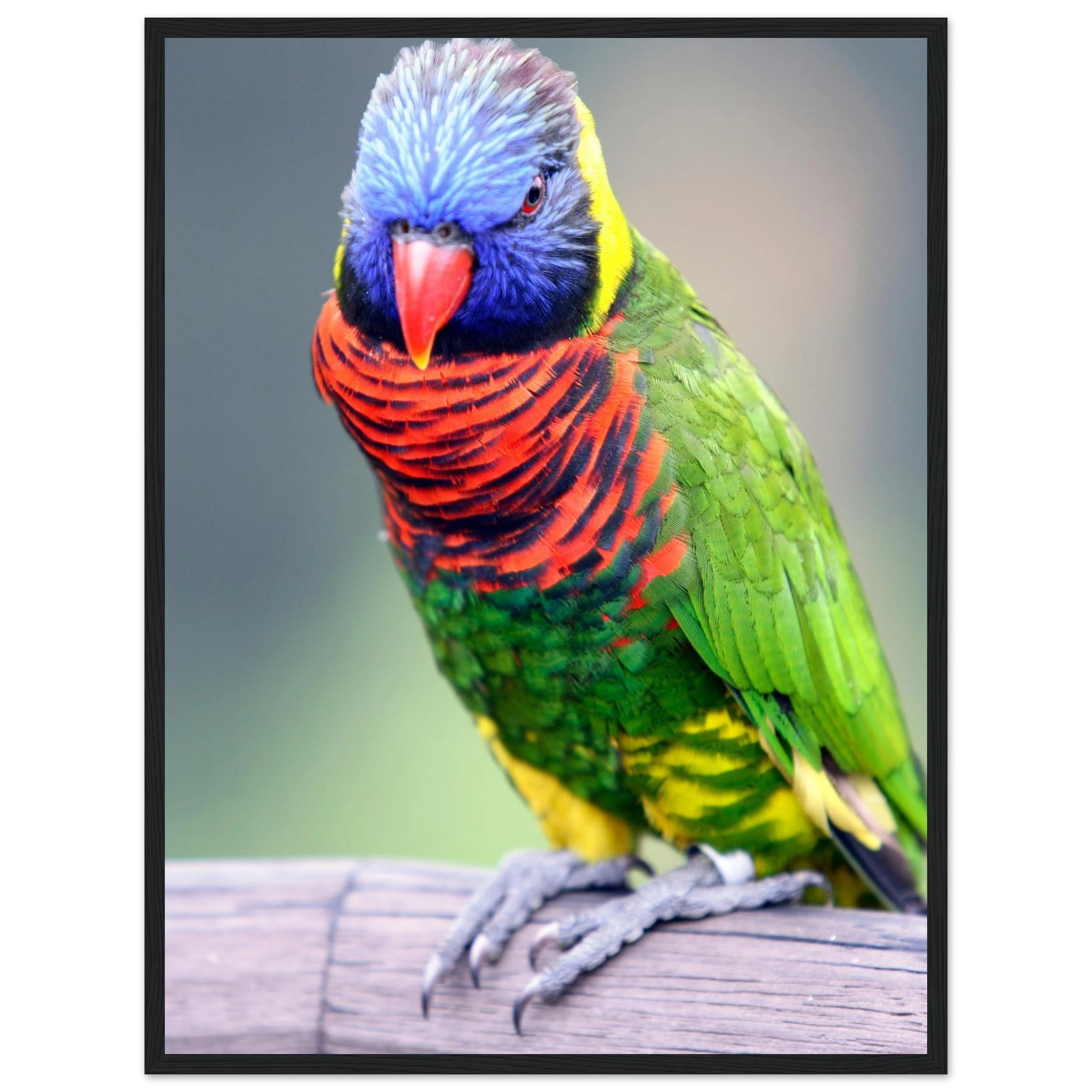 a446cf7f-b553-43e7-94ce-f7e12431470f