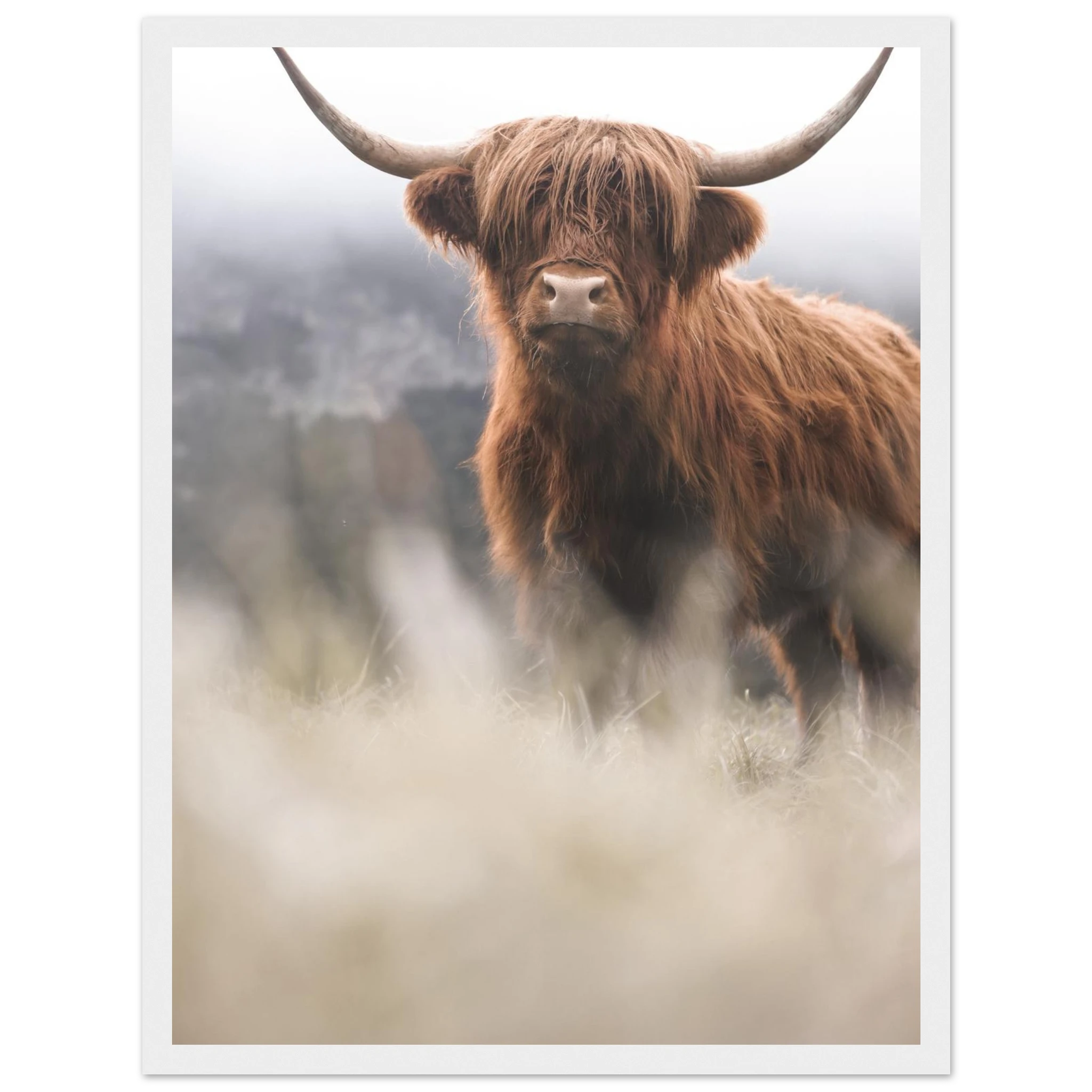 a455a81c-7308-43da-8ff1-1bb76a064e5a