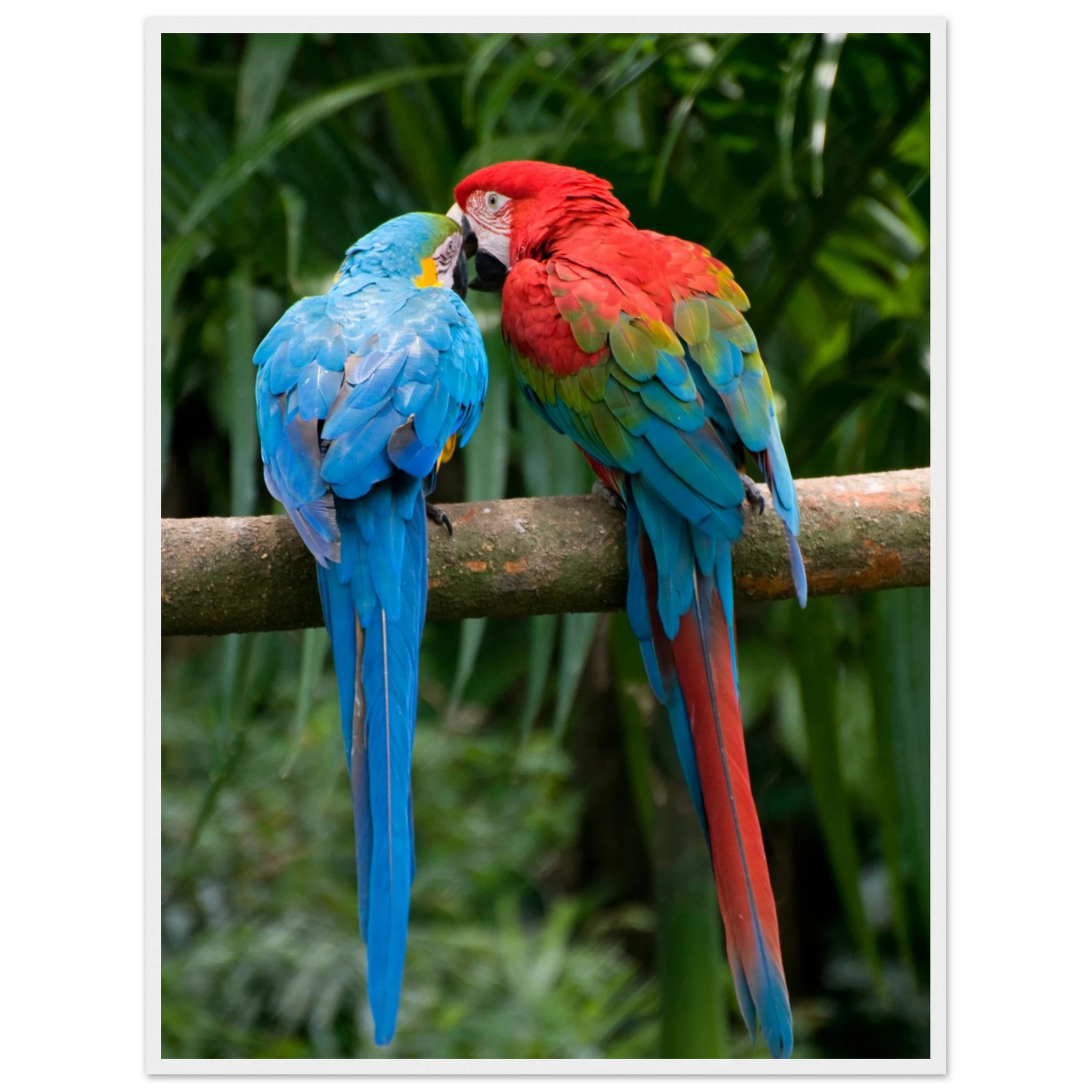 a4898a4e-bbe7-4898-b905-1269f889134c