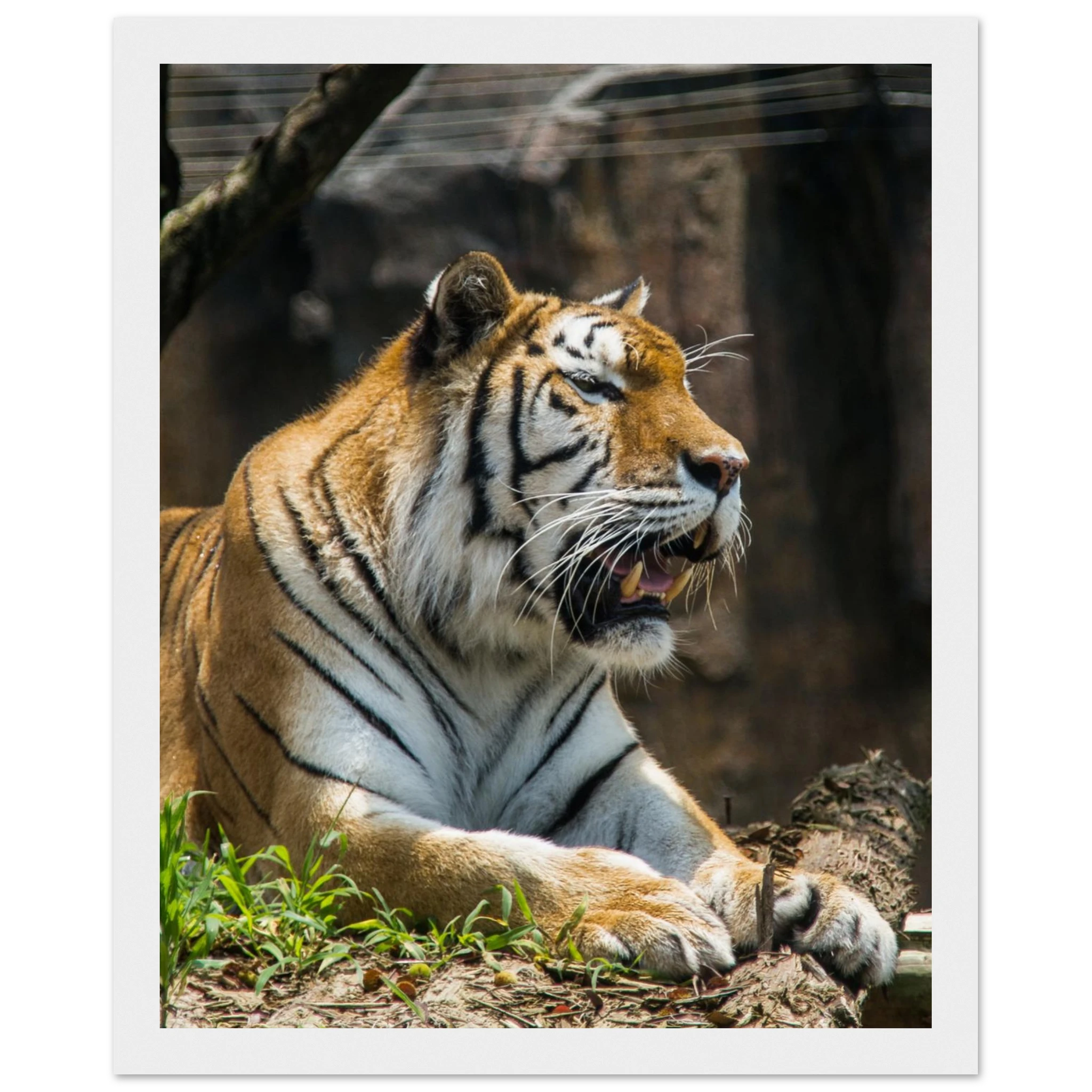 a48c41fd-9eef-413e-a074-bcd0cbd72c4c