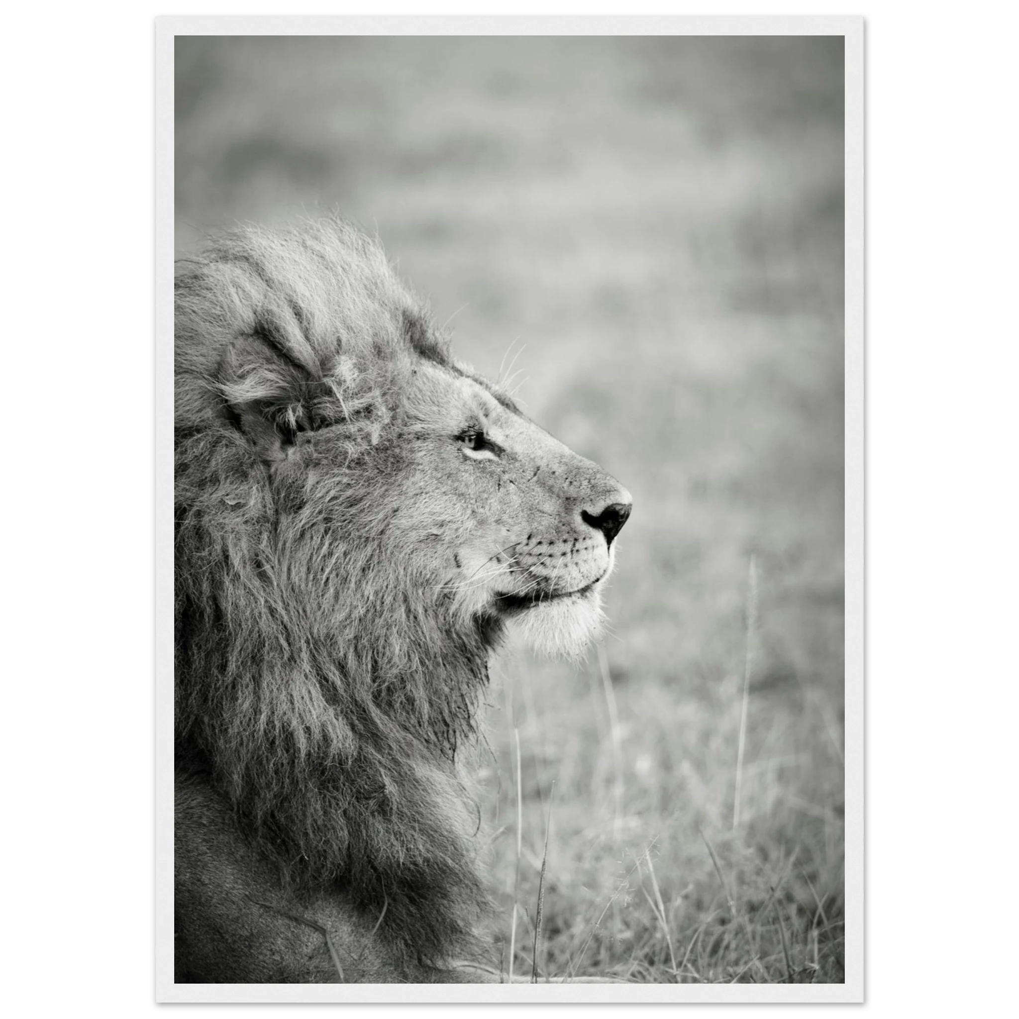 a4ade70e-1903-4951-9fda-55641c2e5652