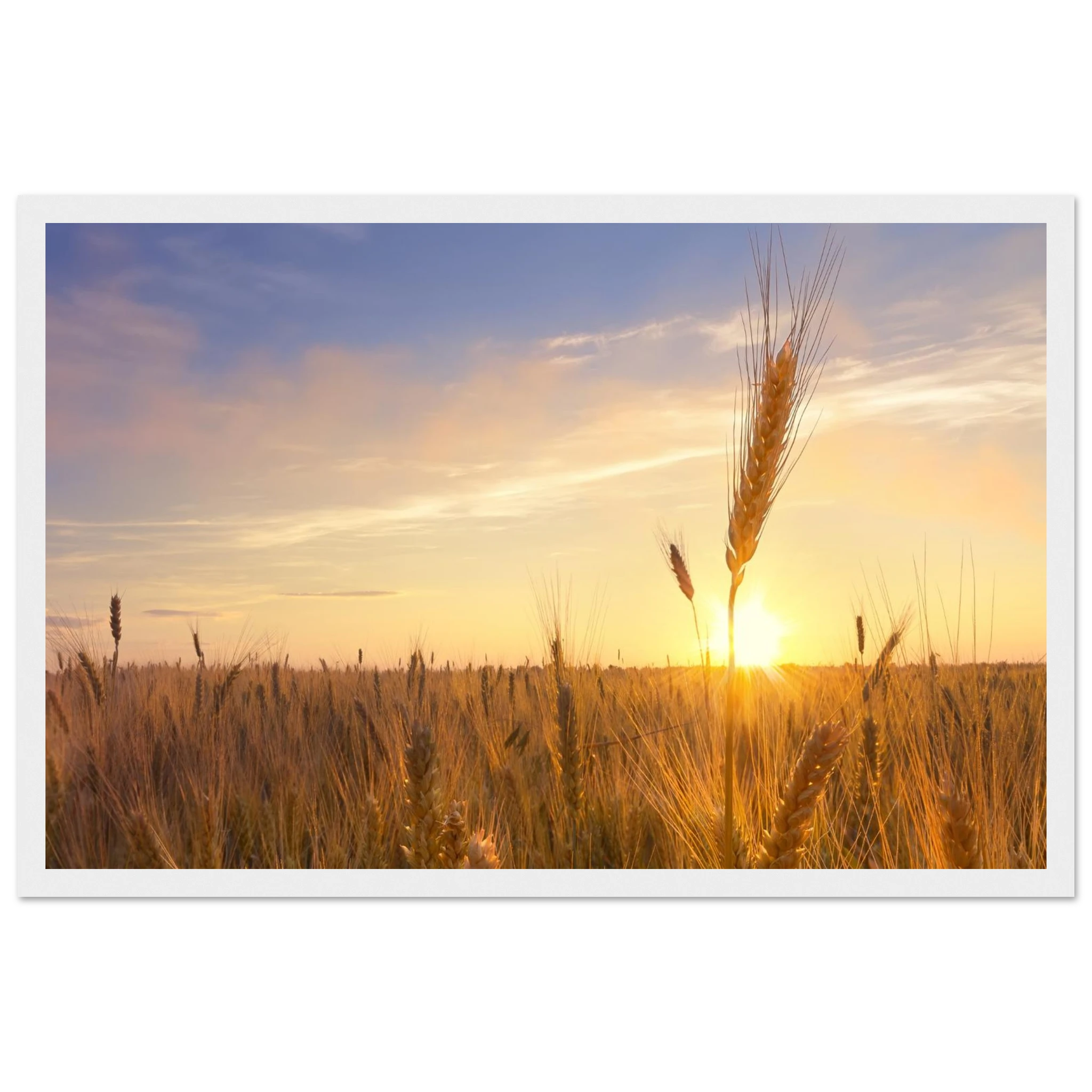 a4c43dcb-433f-478c-9ba9-cd11747102c6