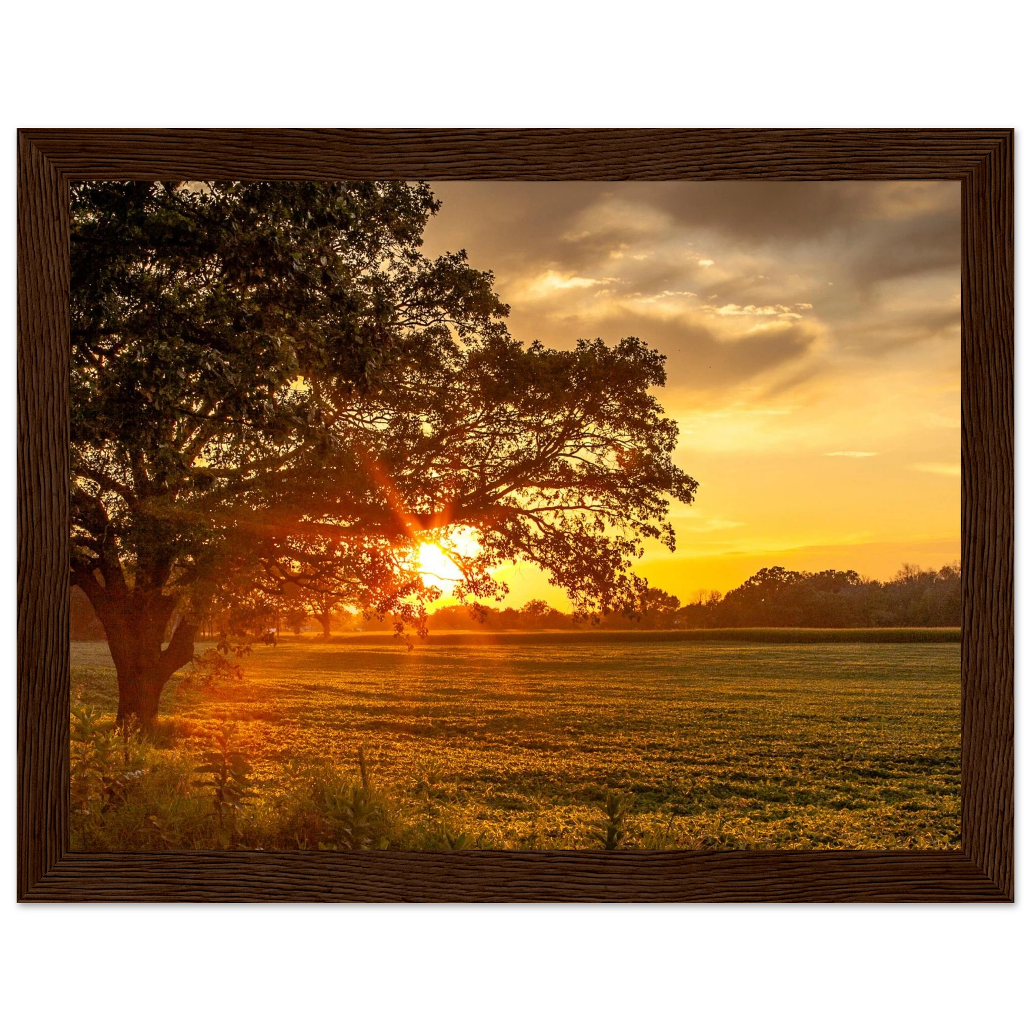 a4f08225-f01c-41b2-b303-47fd38b451c8