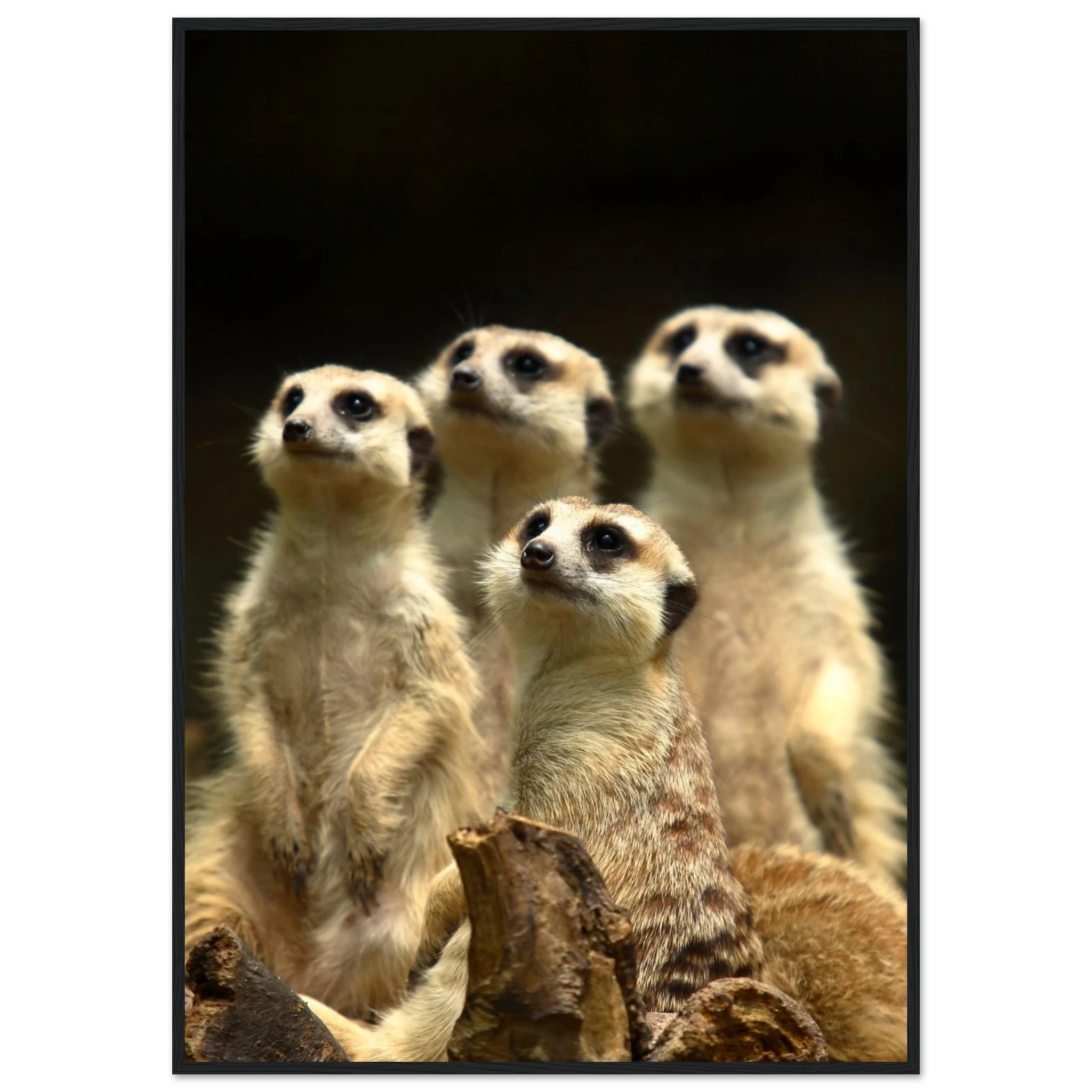 a4fbc088-6ea8-45e2-94f9-88913c8f51df