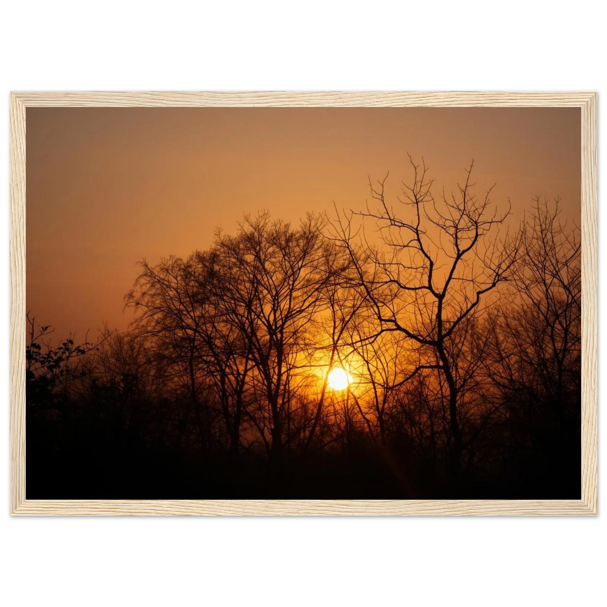 a501b042-e16d-4a64-9473-b92d173855d8