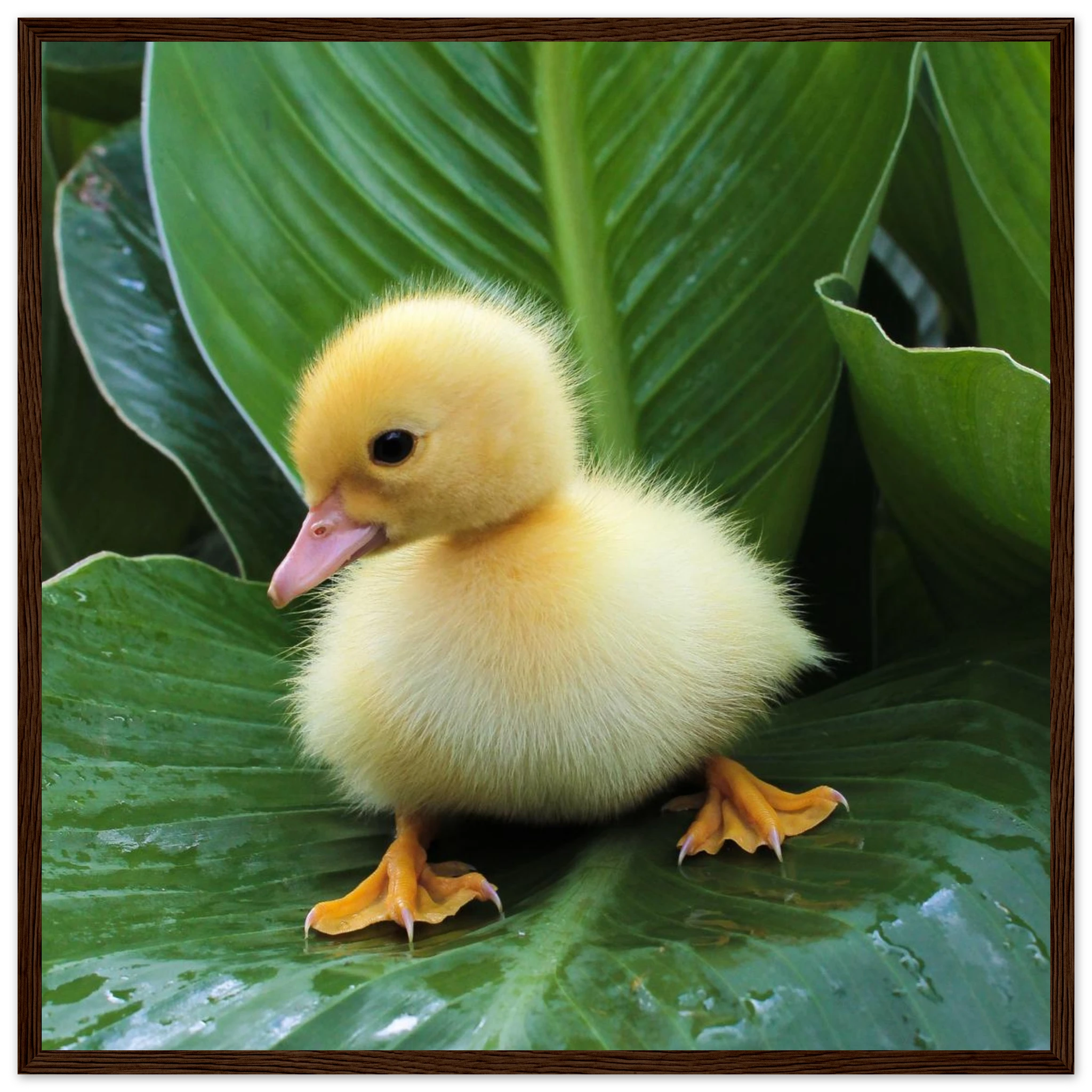 a5087da5-31eb-4b45-ad5b-4f322ad9d14c