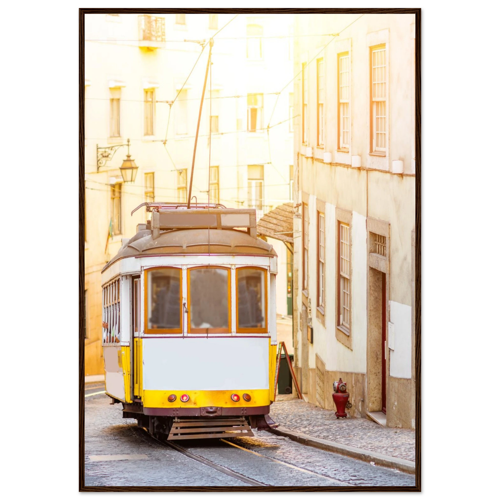 a5296b08-129d-40da-9630-343e3d832d38