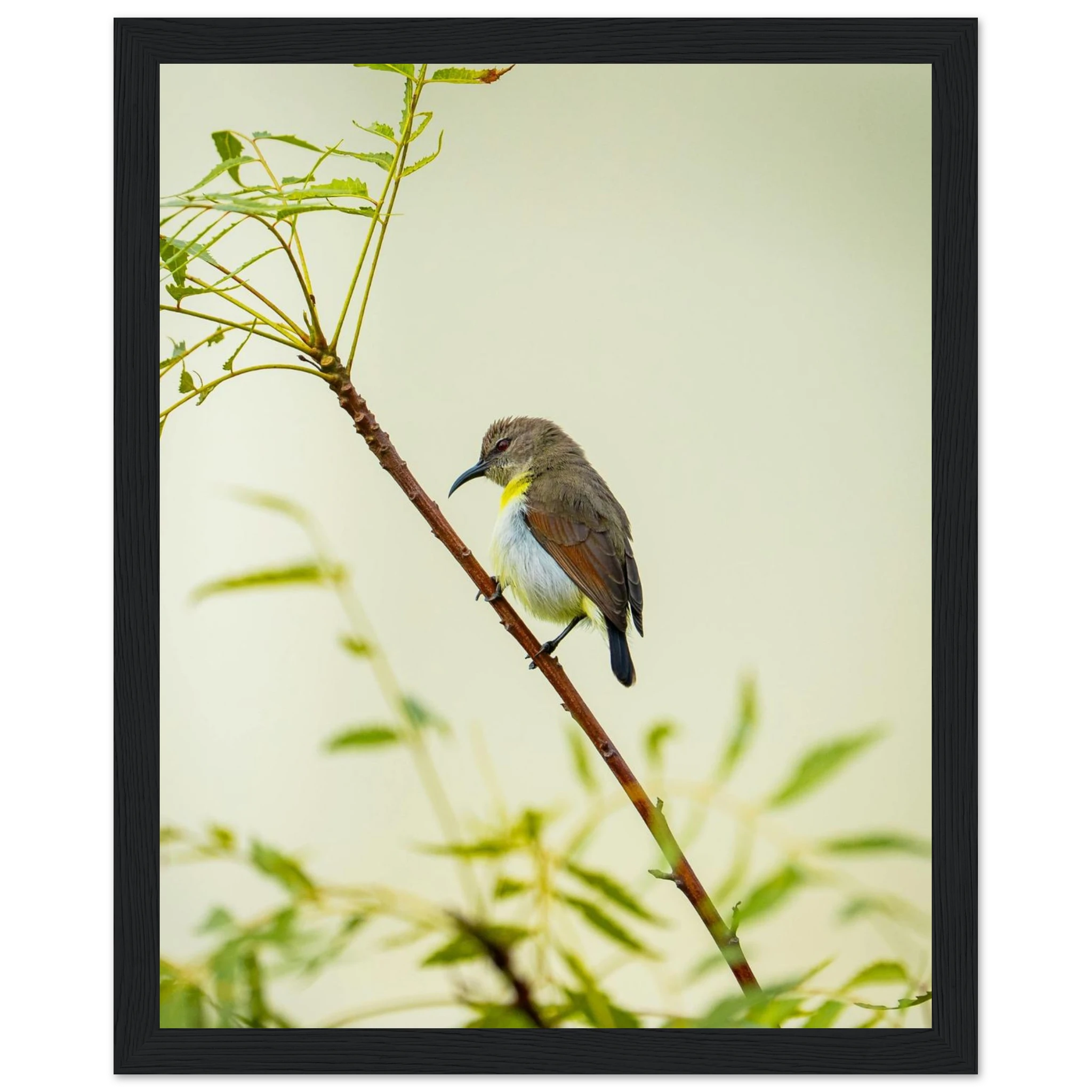 a5470781-e3aa-4673-a104-349e6ad844cd