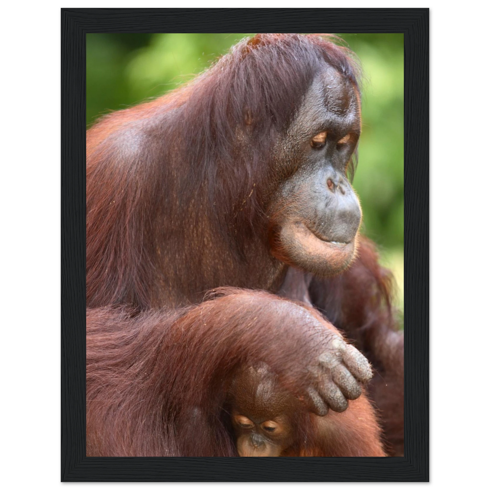 a55931cb-a366-4bb3-9e2d-7986618aea4d