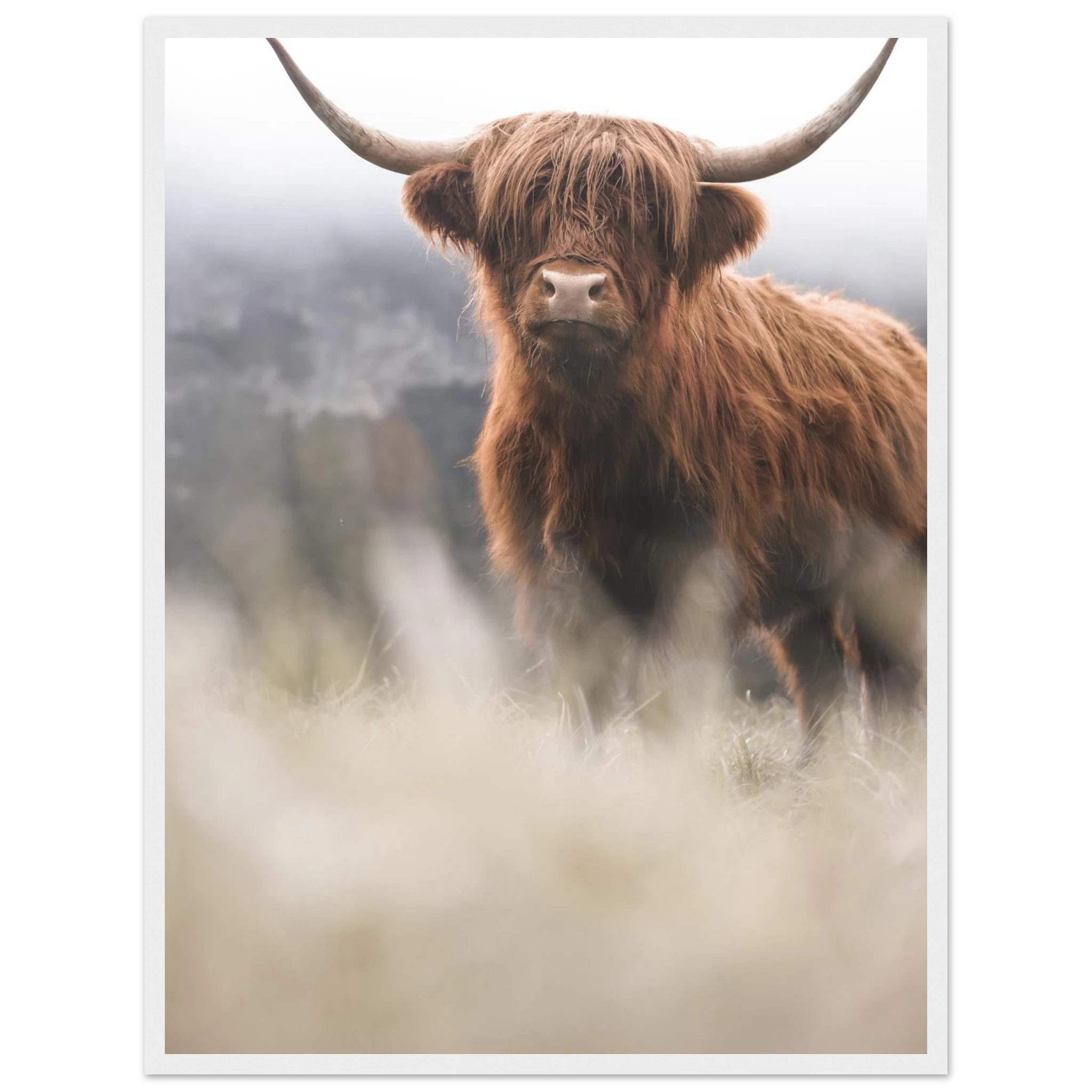 a561c491-46eb-4578-8917-0e6f848132b0