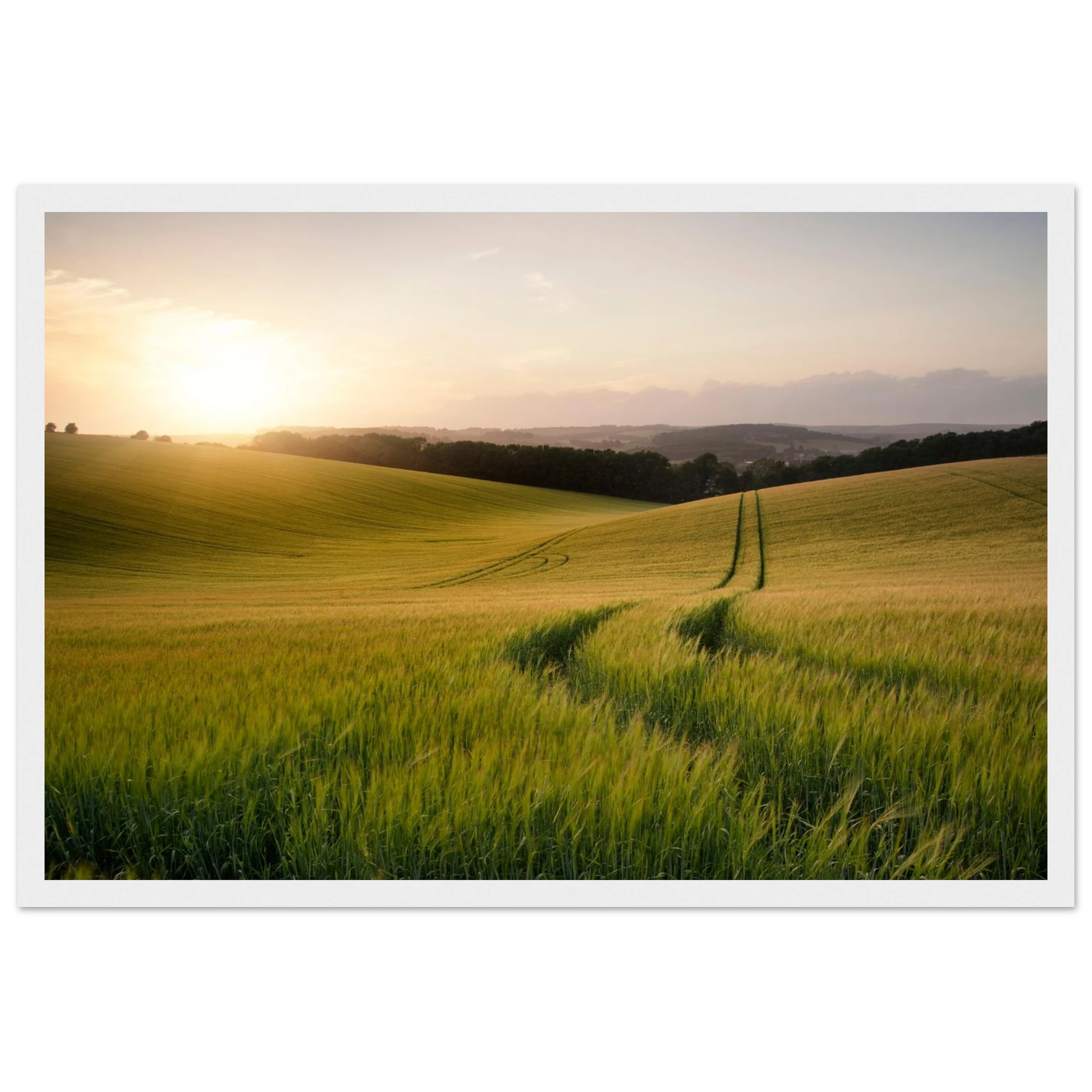 a562ea7a-75d2-4a52-809f-c54b354bf6ce