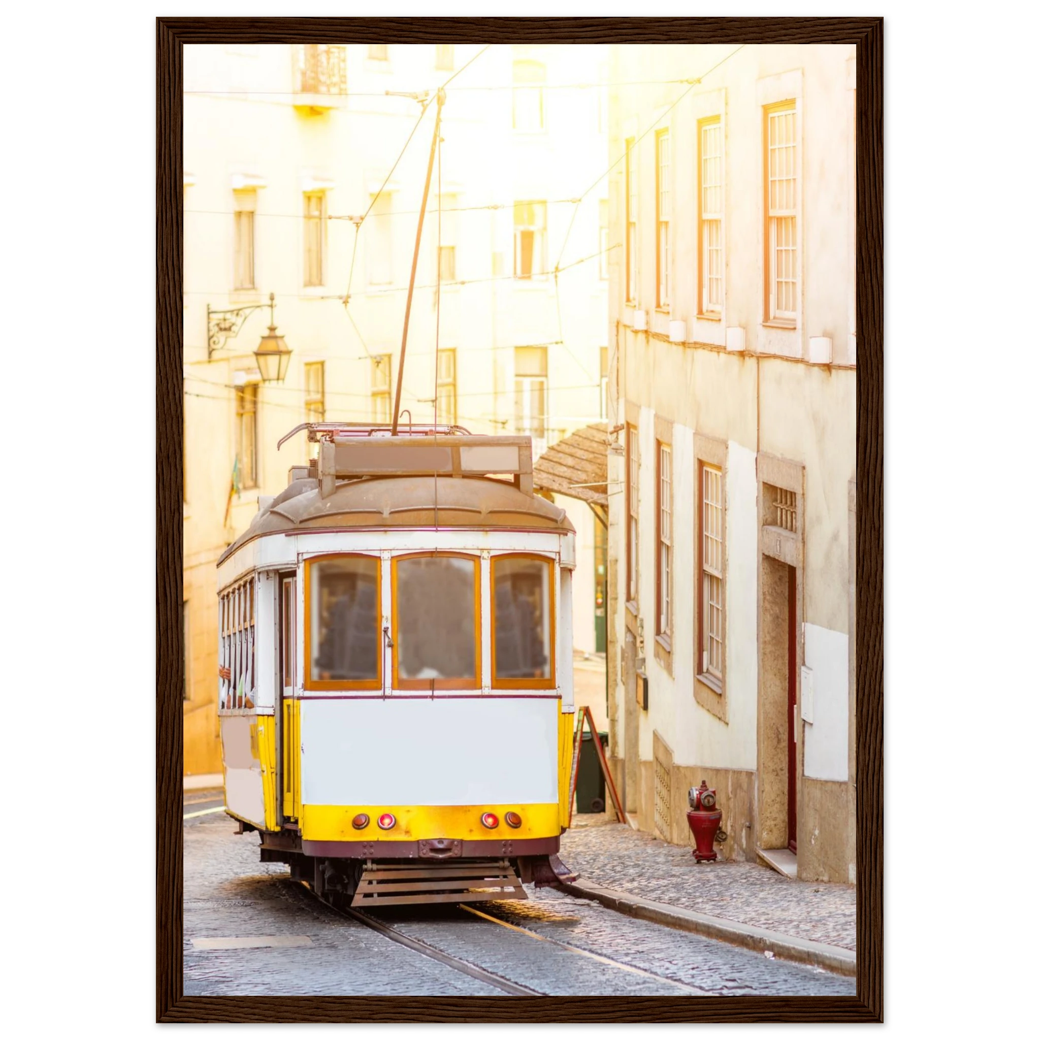 a56586a2-74b0-4c94-8124-bae6fa9f211a