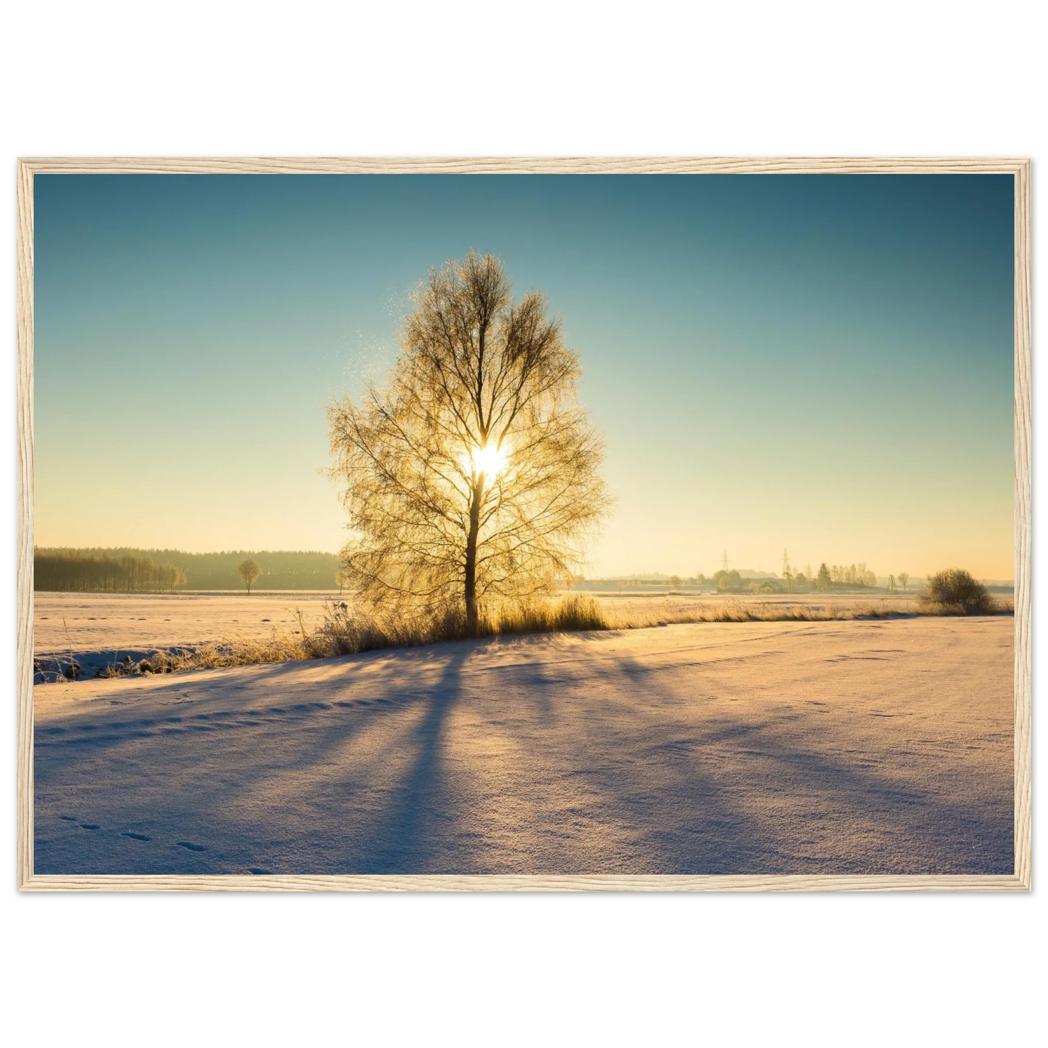 a568e335-3153-499d-9e3e-4927f30eb3bf