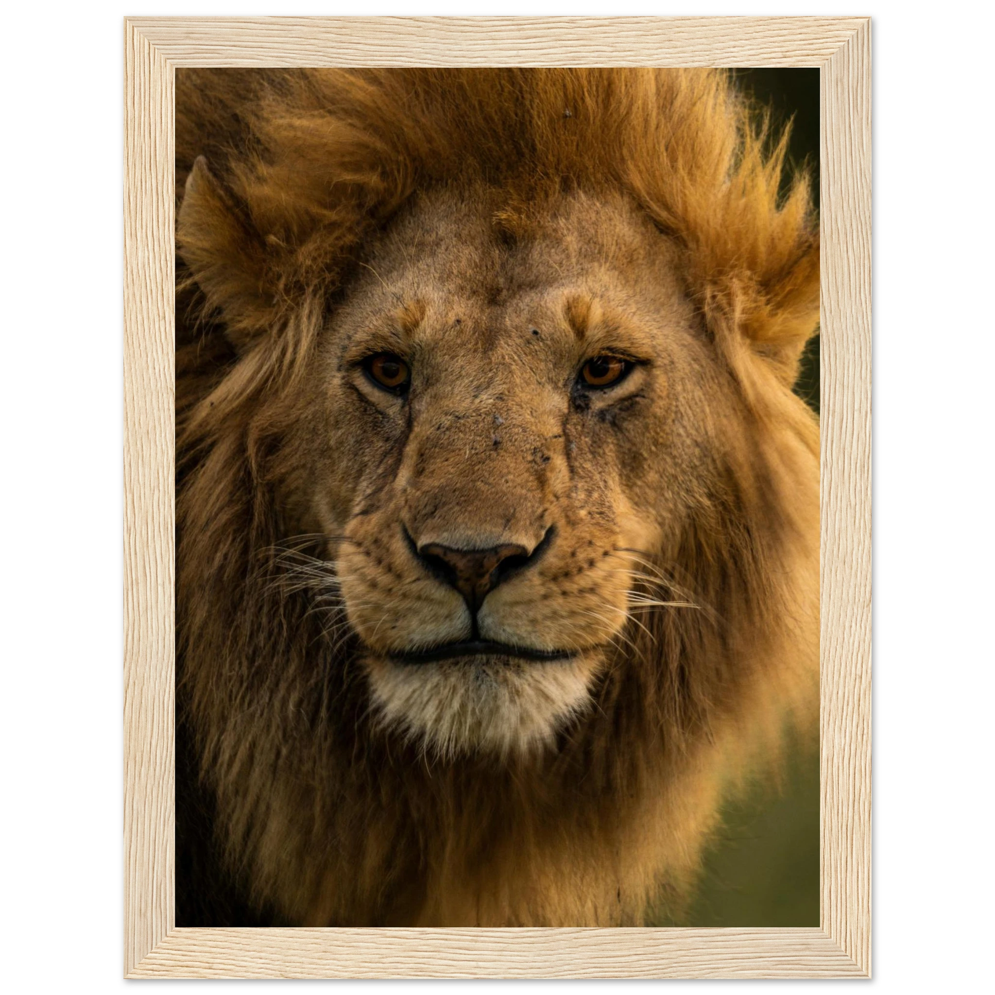 a57f6199-36ce-4e3f-900a-5a6b96885594