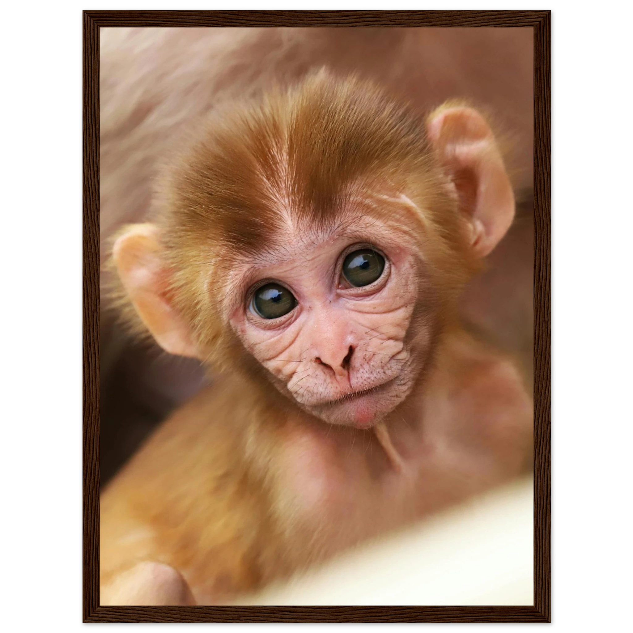 a5829b35-ad5c-48bc-88a0-4535b46f3720