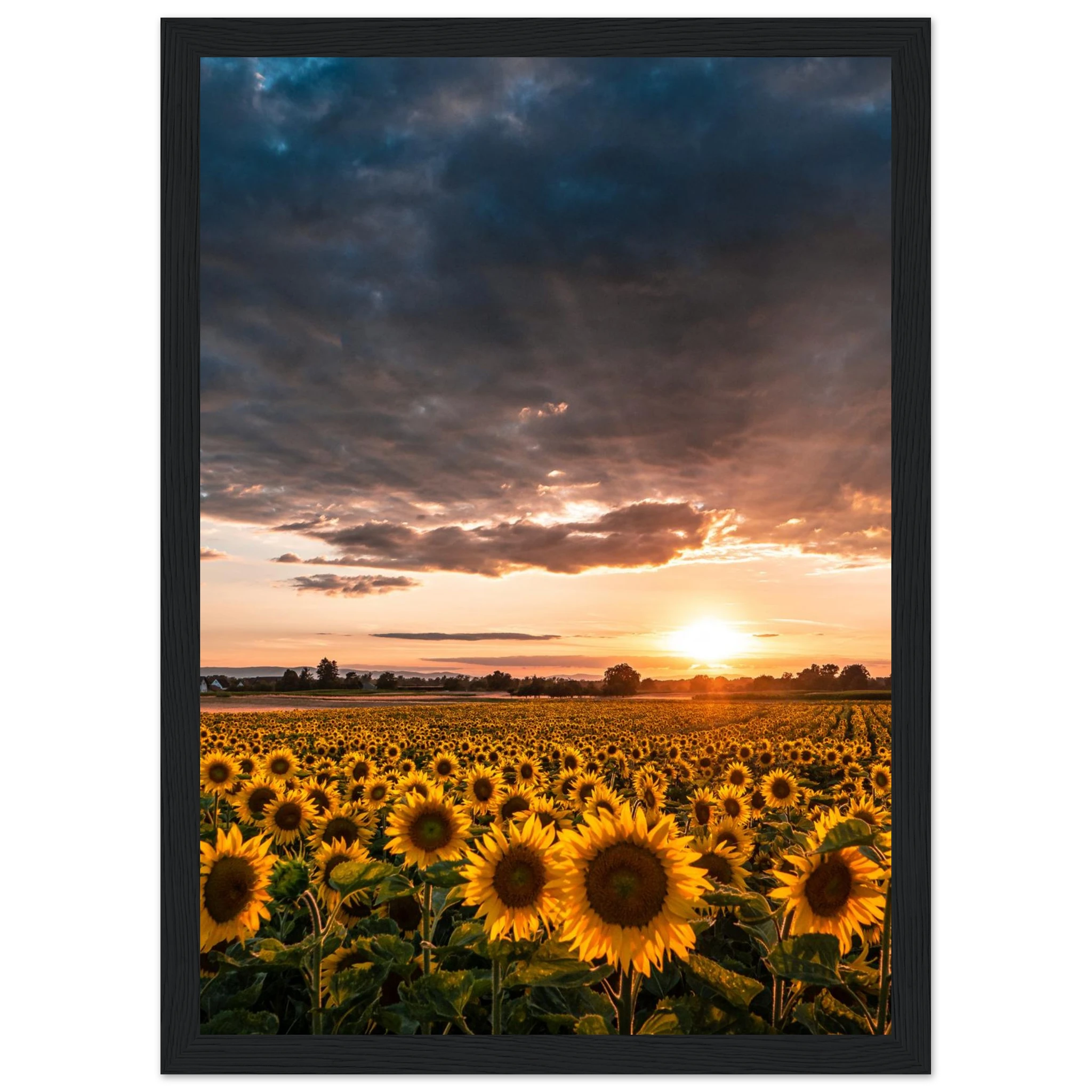 a5c1d964-f4ce-4114-ba51-8f6fa61df4b1