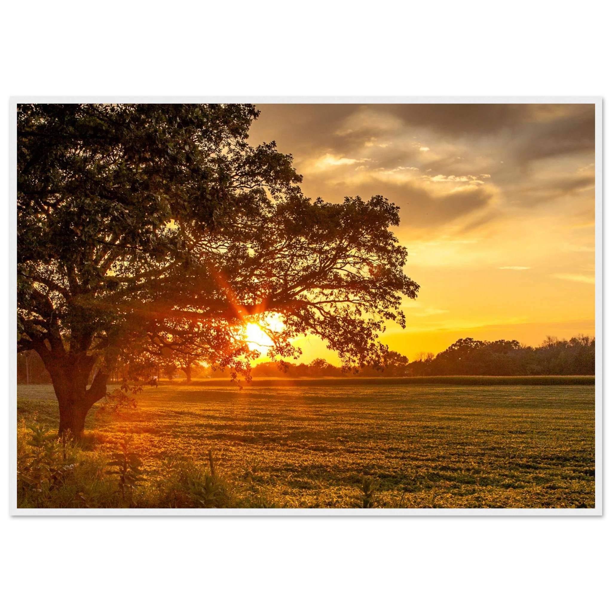 a5c511eb-99e6-404a-9eb5-699ab3e50ec4