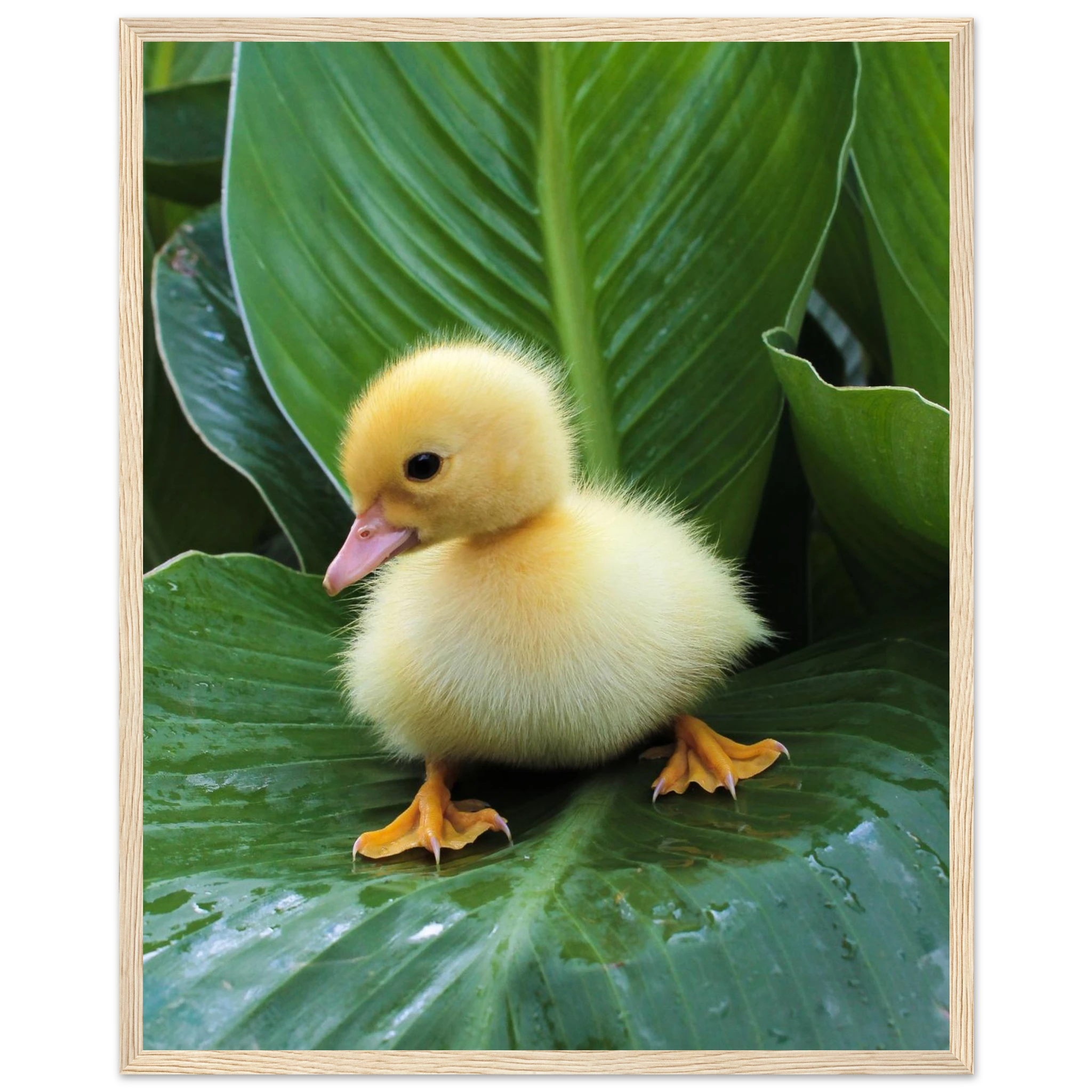 a5de2bc8-b4f1-400e-88ae-d2c37c8af149