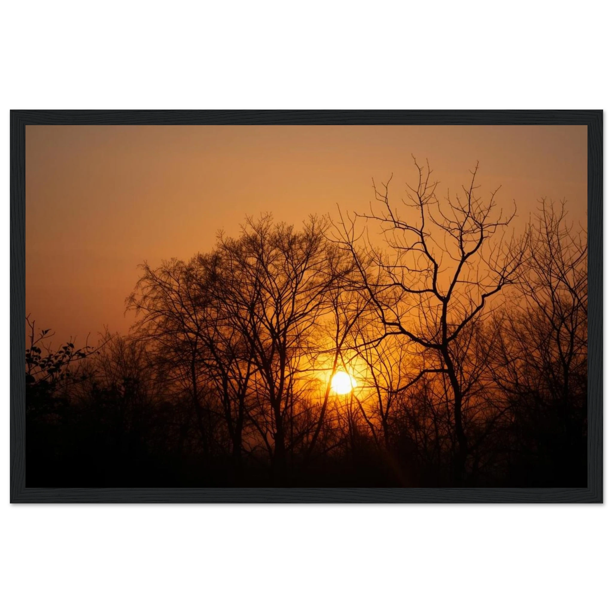 a5e2540d-a072-4da8-ac77-41f2844f91ba