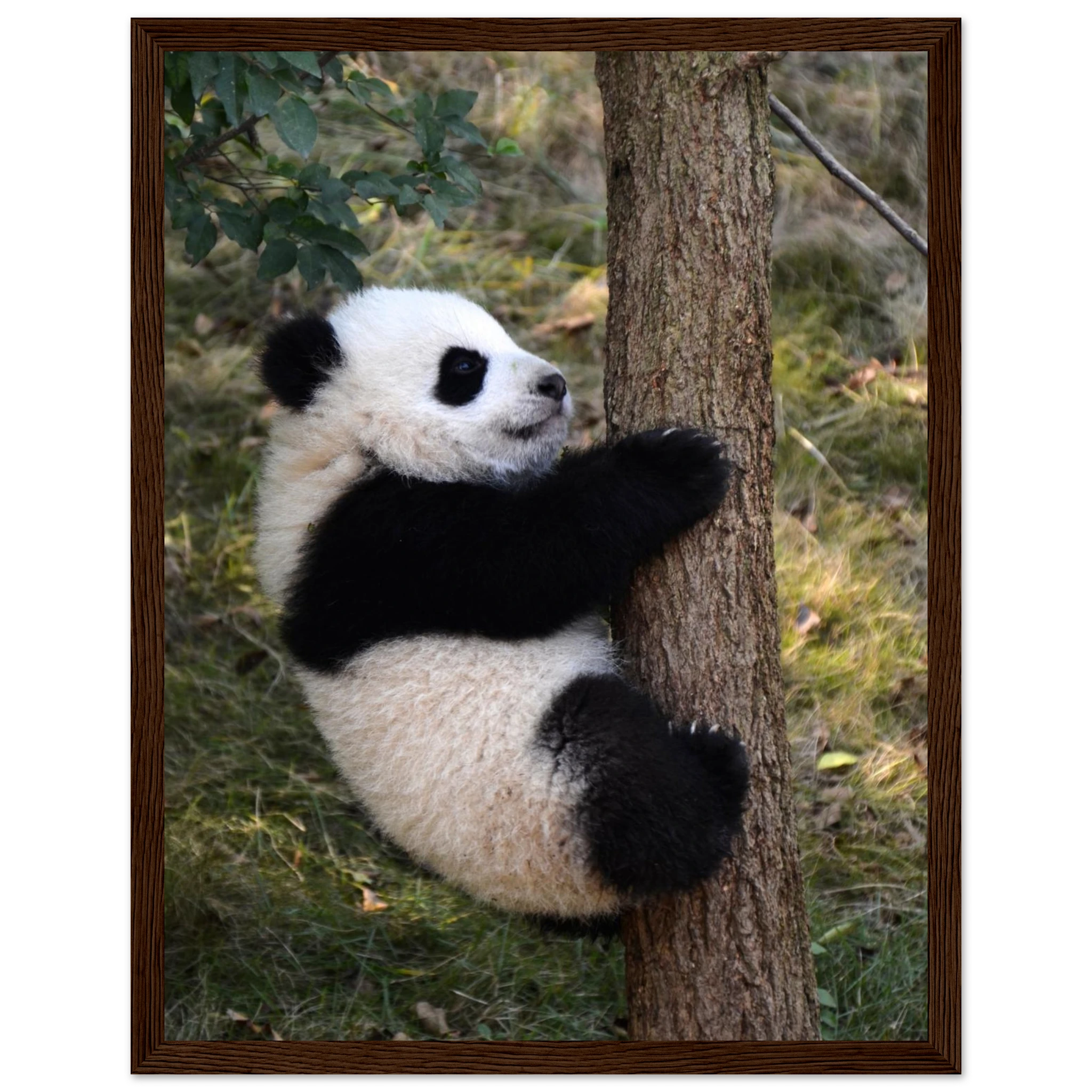 a5eb650f-7739-4212-9ab3-210dc6ac22ca