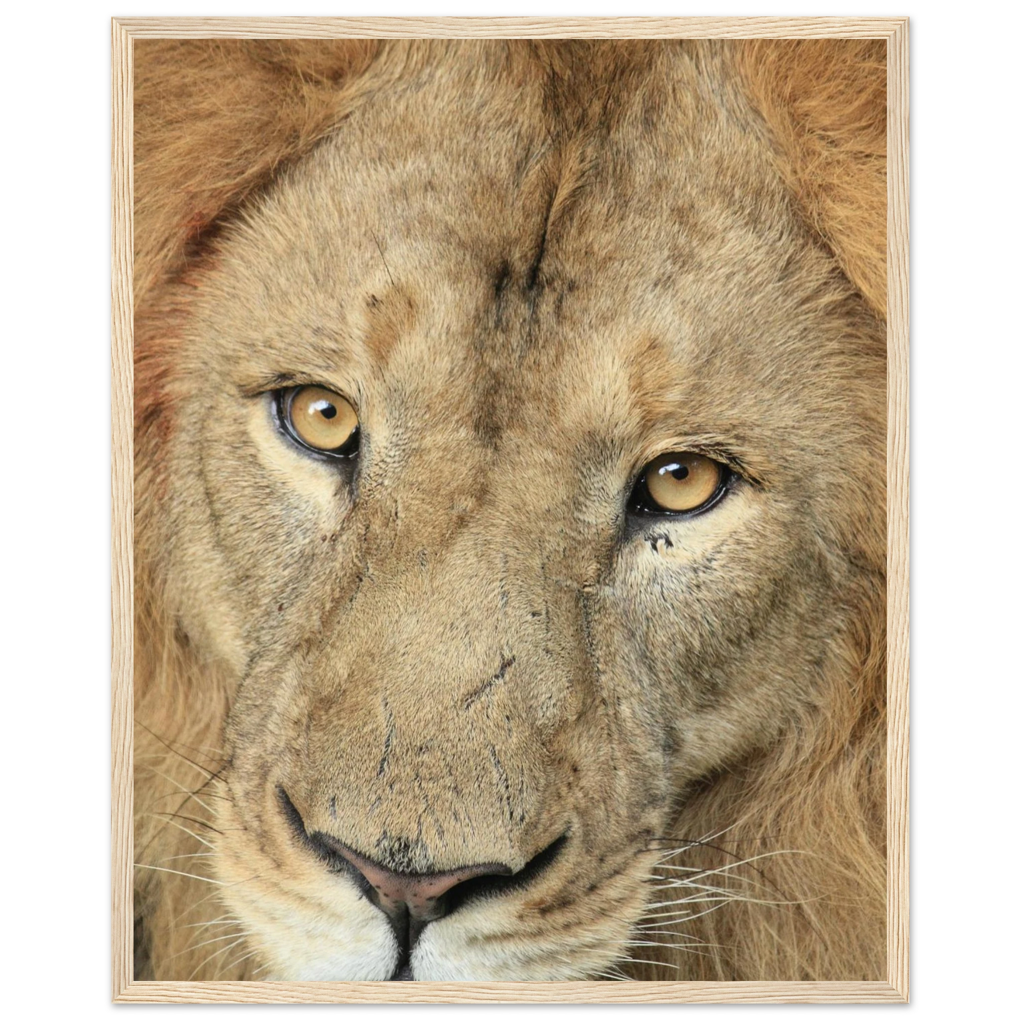 a5f28564-21e4-4c6c-9011-a8905b605c72