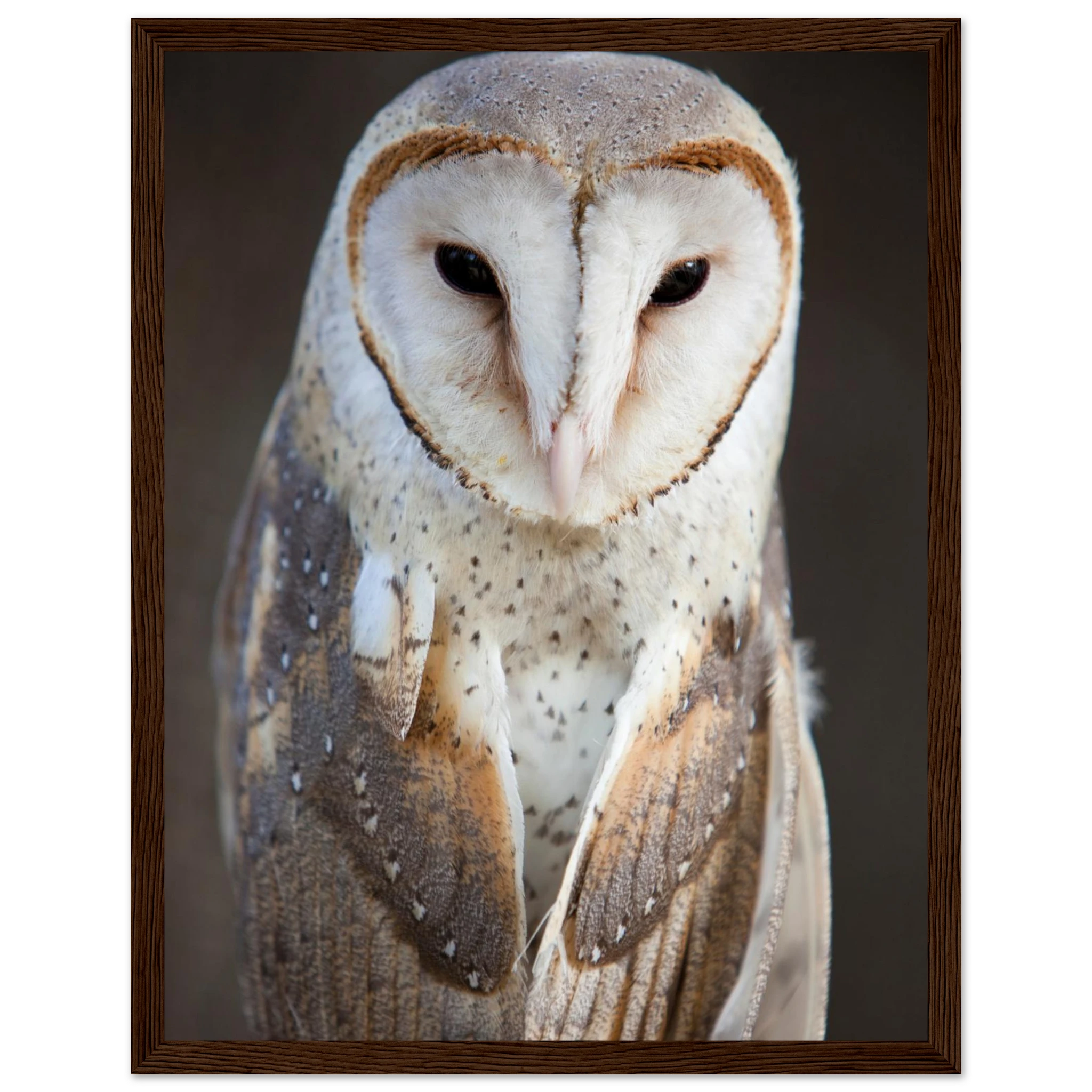 a5f507b1-f2a8-422a-9d6f-4ee08bba1476