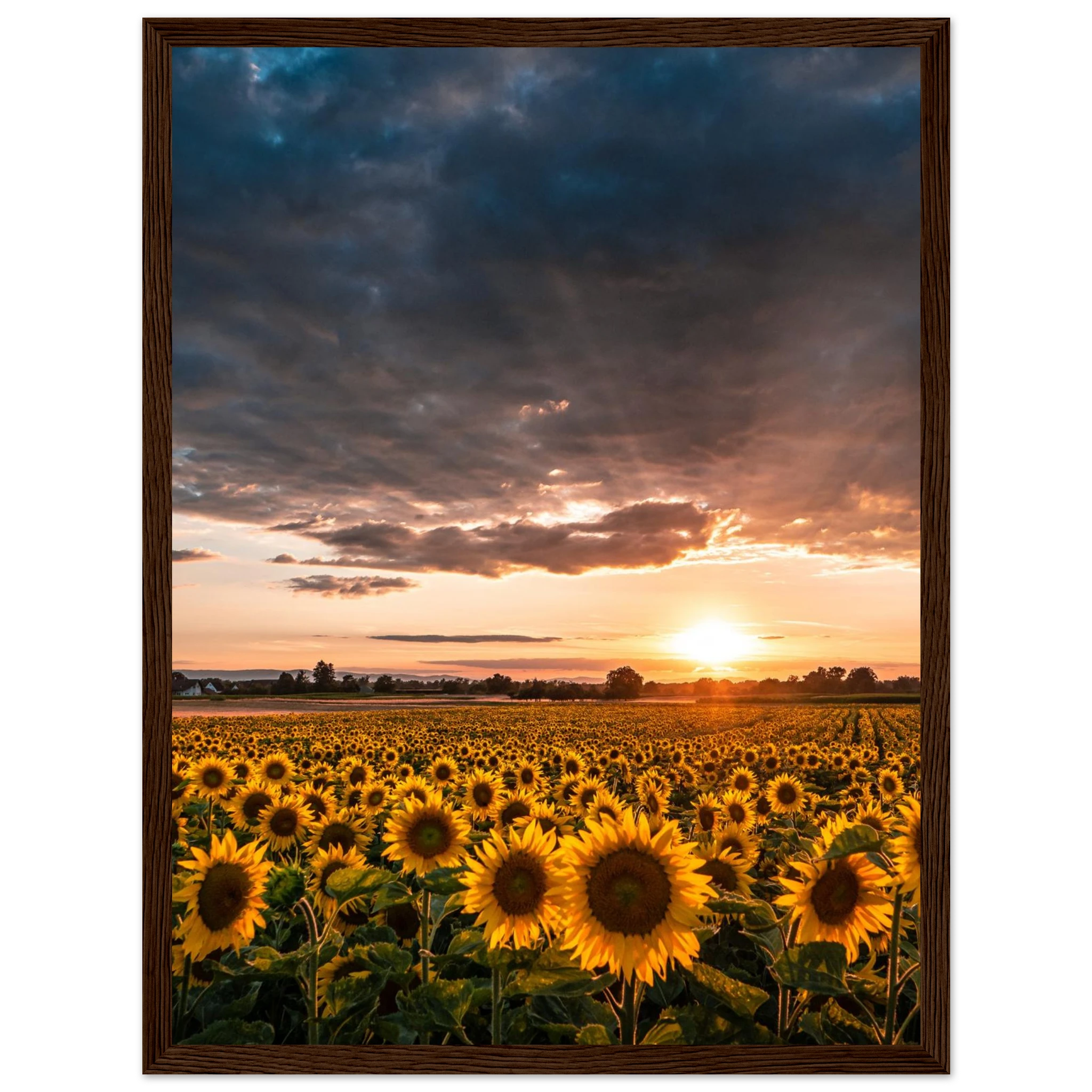 a5f86f38-d97f-4866-8d34-a8eabfaa2567